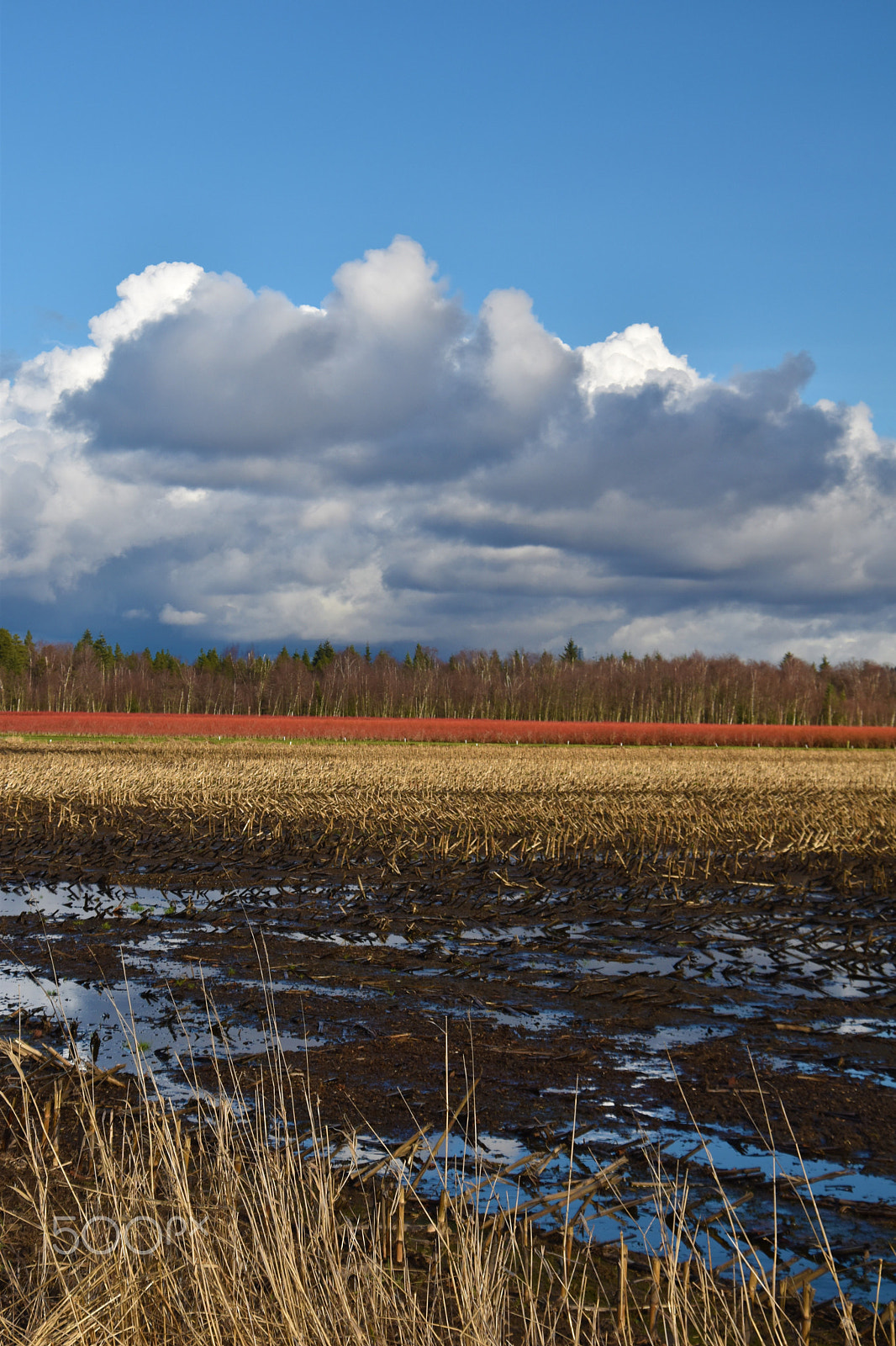 Nikon D5500 sample photo. Farm land  with dramatic clouds photography