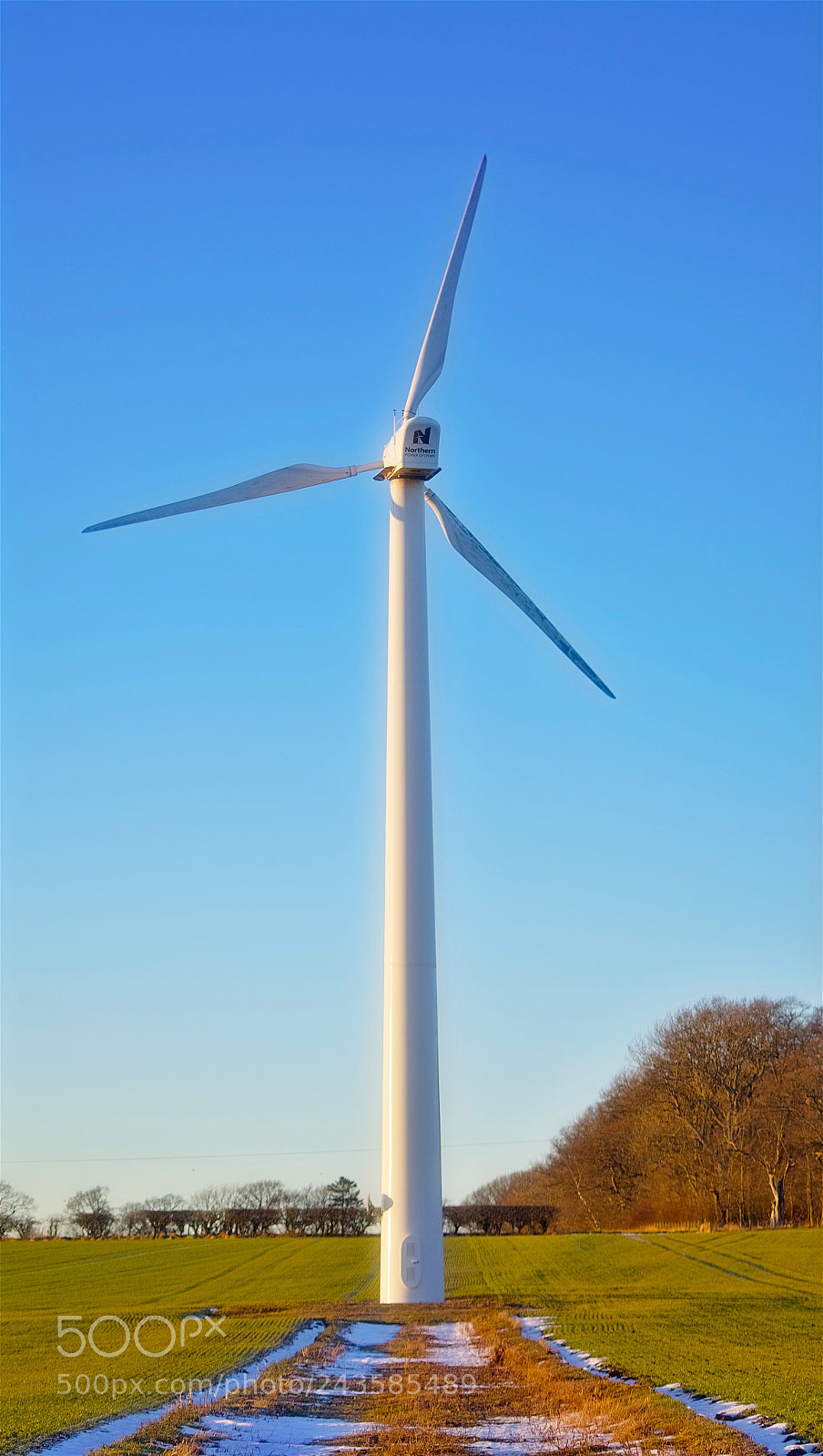 Pentax K-1 sample photo. Trees, turbines, eh... stuff photography