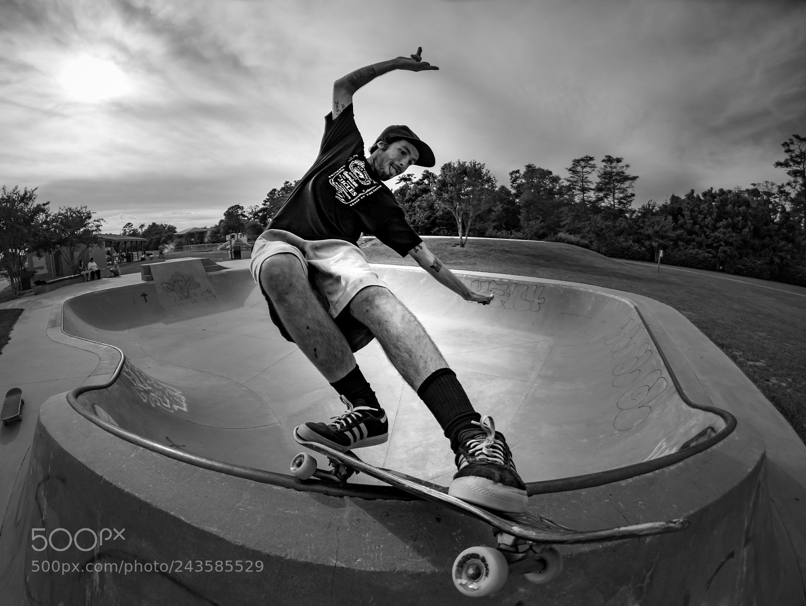 Nikon D500 sample photo. A trip to sound photography
