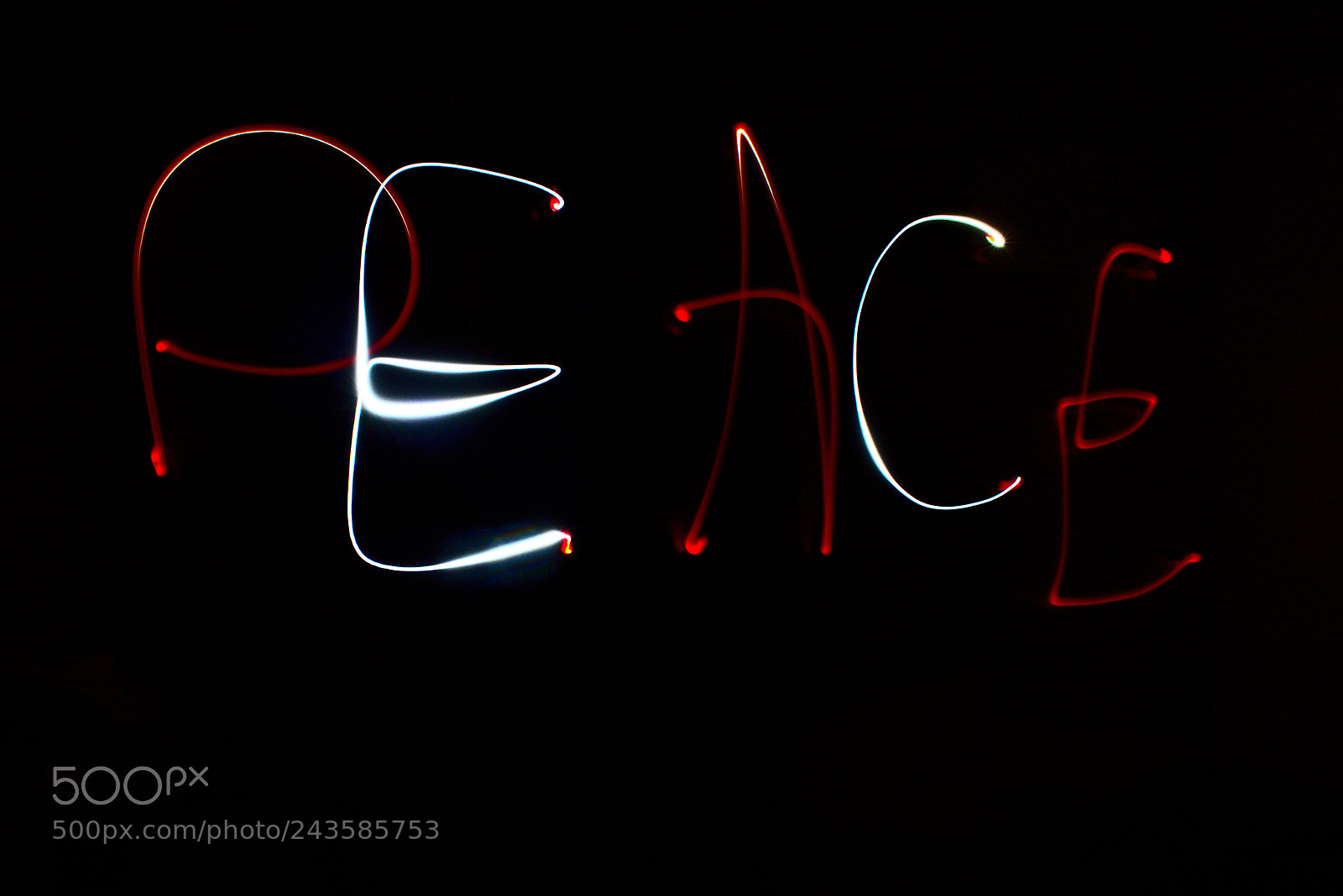 Nikon D5600 sample photo. Peace photography