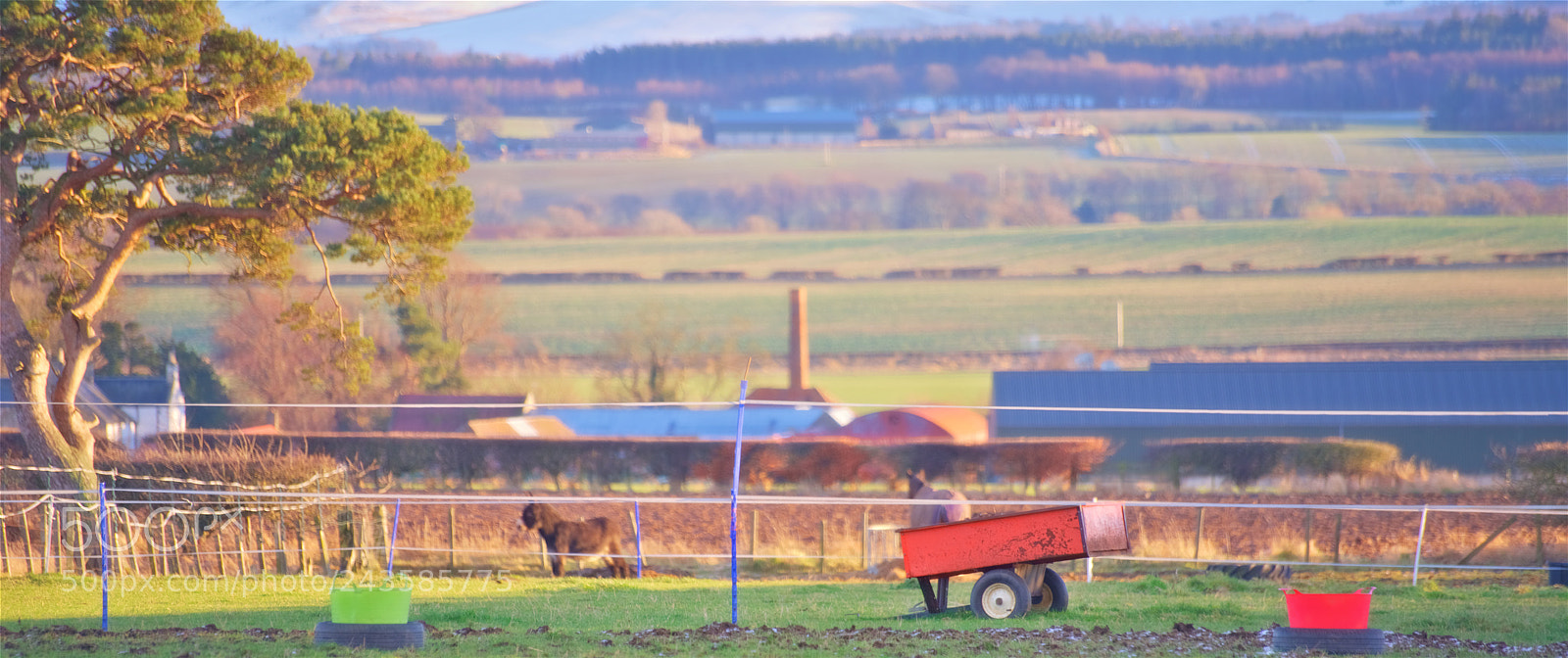 Pentax K-1 sample photo. Trees, turbines, eh... stuff photography