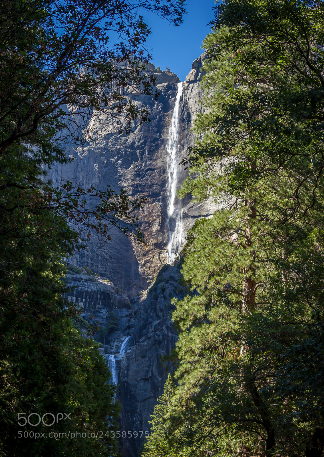 Canon EOS 550D (EOS Rebel T2i / EOS Kiss X4) sample photo. Yosemite photography
