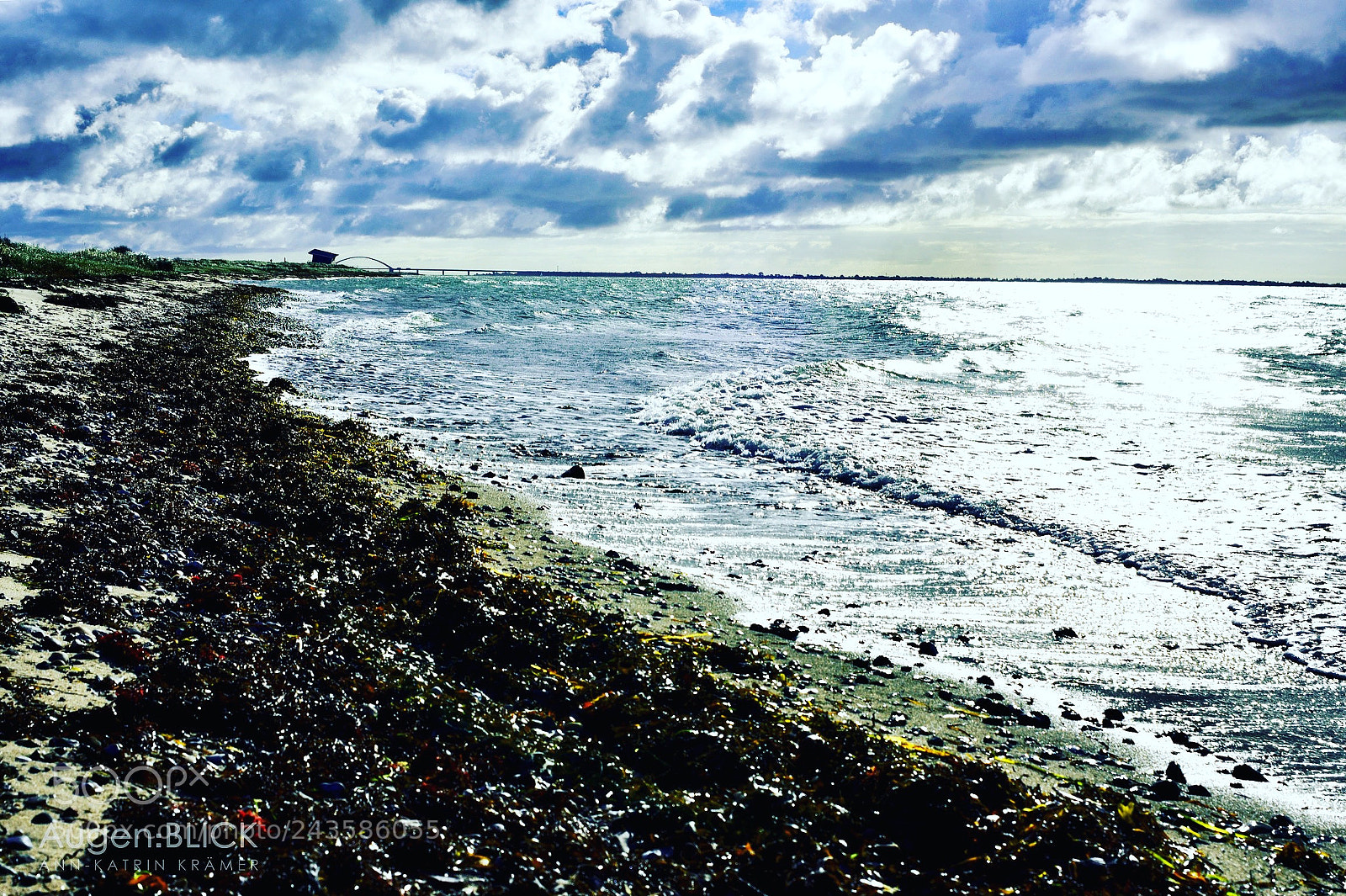 Nikon D7200 sample photo. Vitaminsea photography