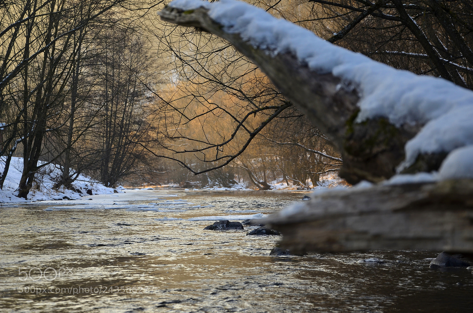 Nikon D5100 sample photo. Ruhe photography