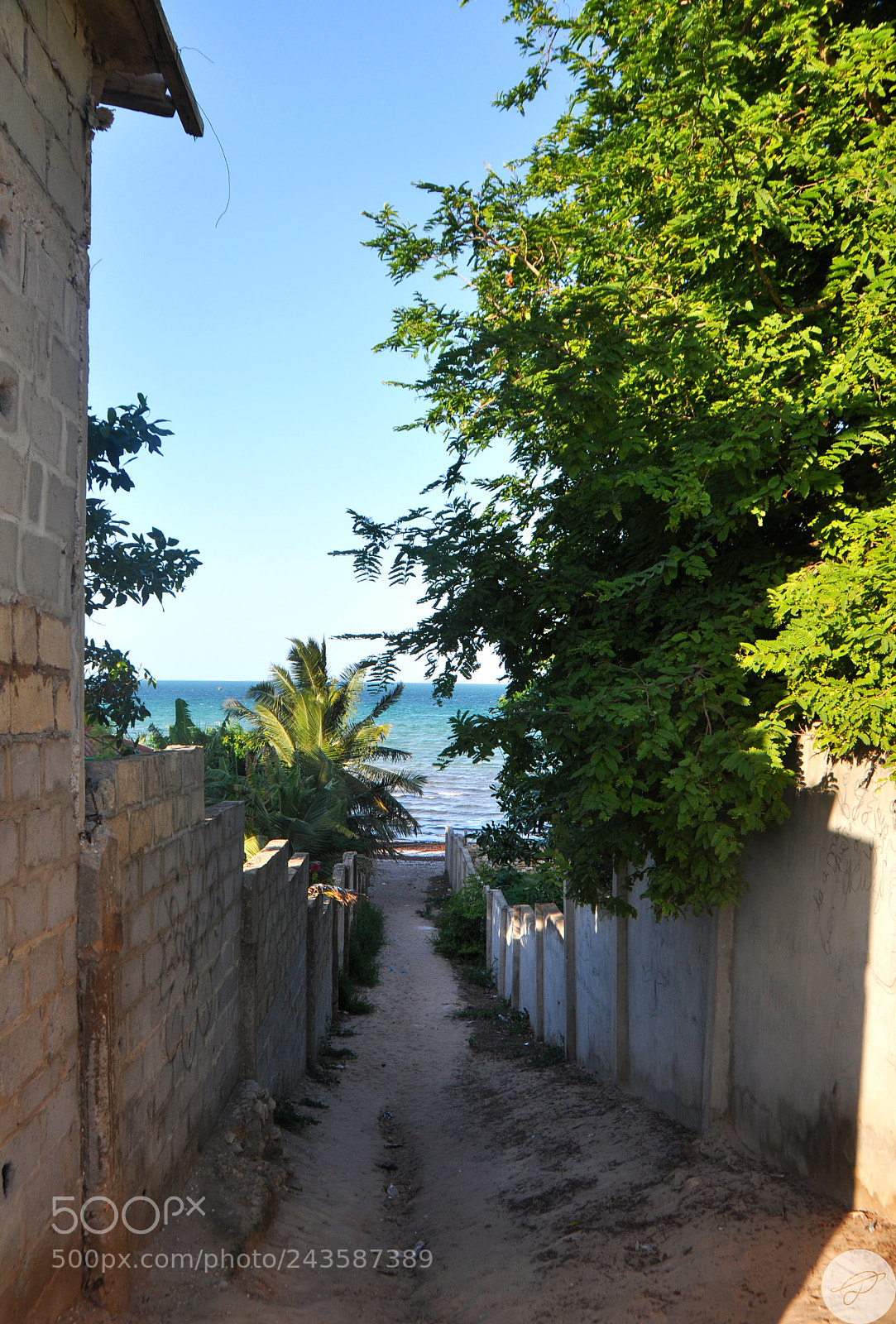 Nikon D90 sample photo. Path to paradise! photography