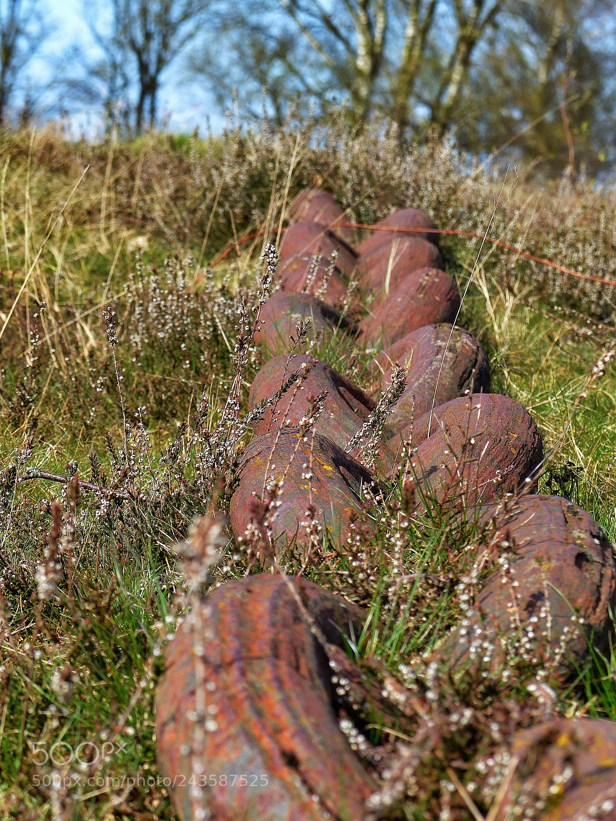 Panasonic Lumix DMC-FZ200 sample photo. Nature in chains photography