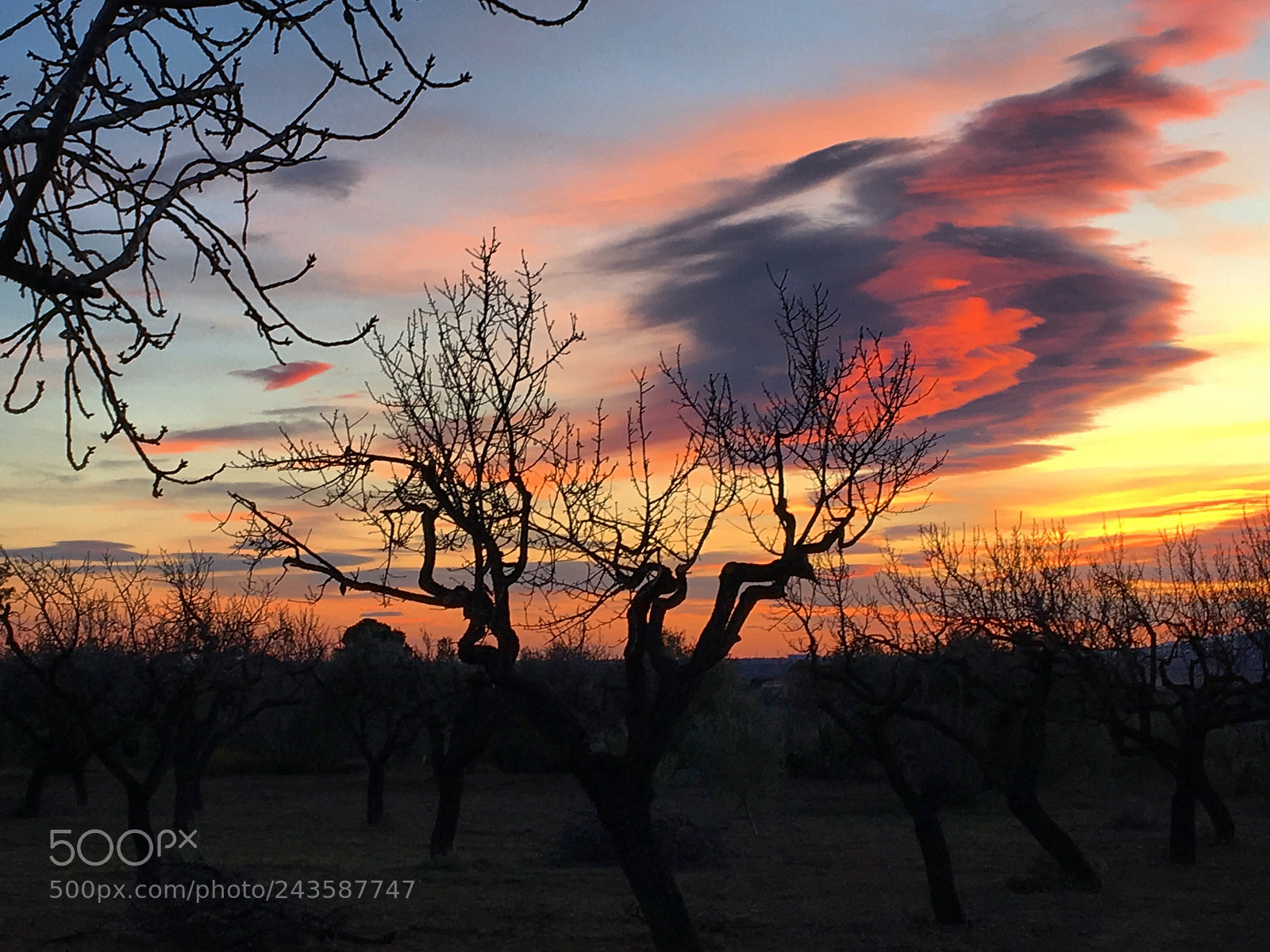 Apple iPhone 6s sample photo. Sunset photography