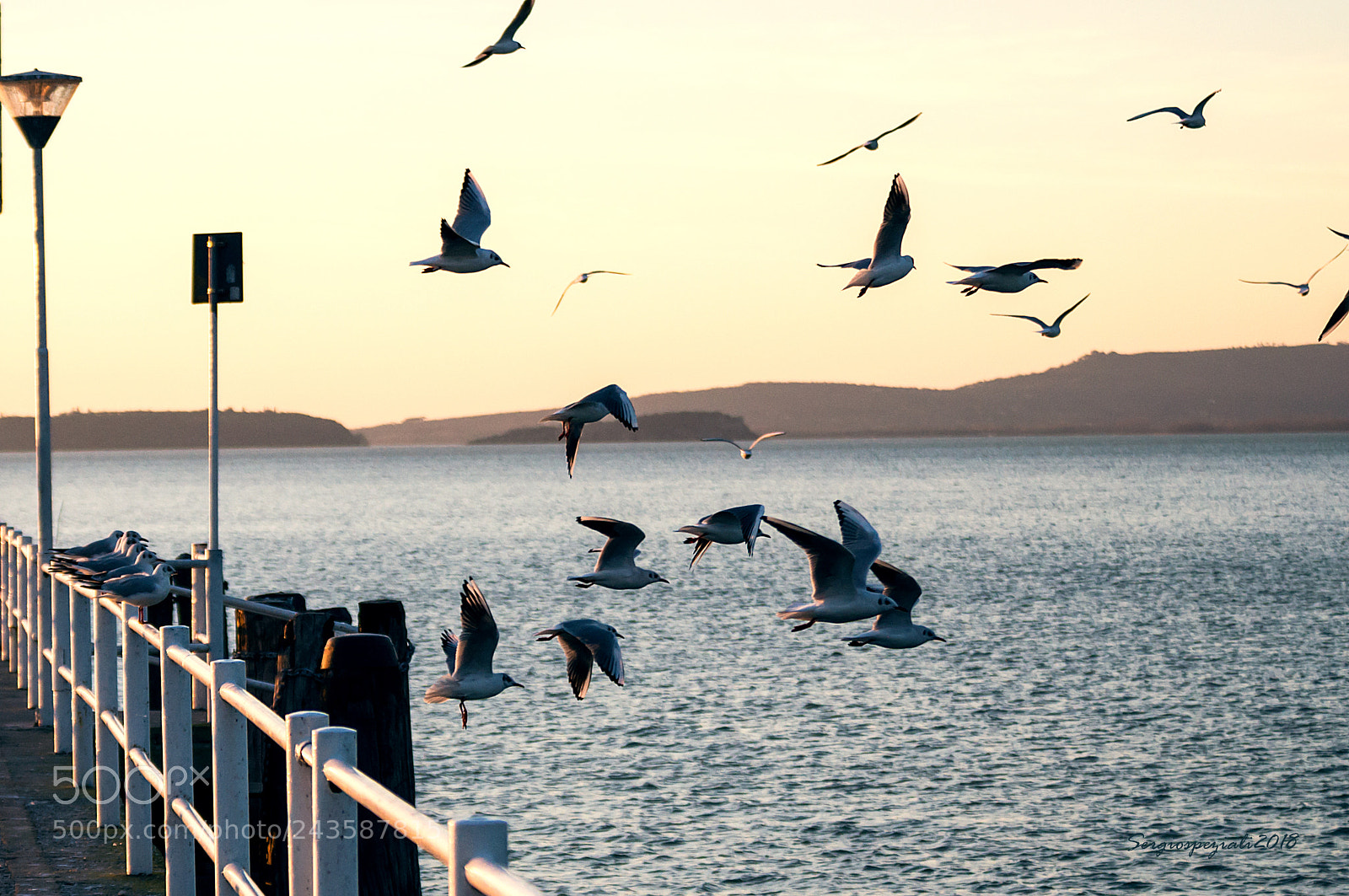 Nikon D90 sample photo. Takeoffs photography