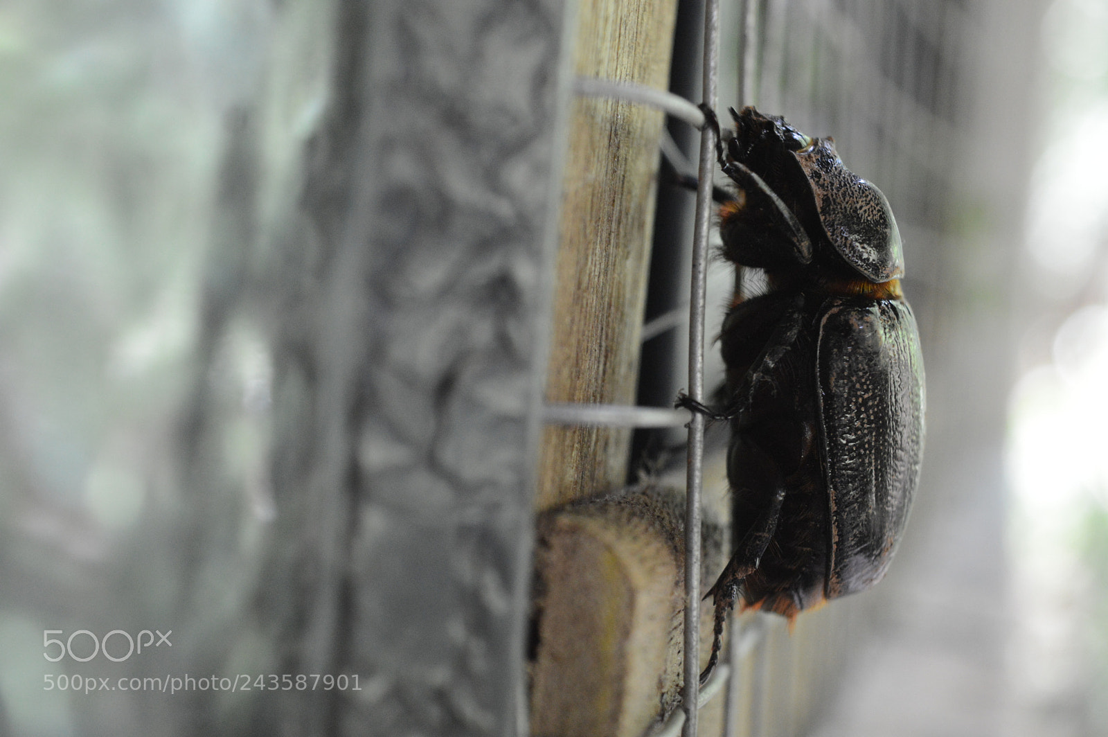 Nikon D3200 sample photo. Untitled photography