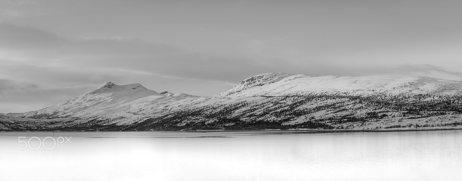 Nikon D600 sample photo. Winterland photography