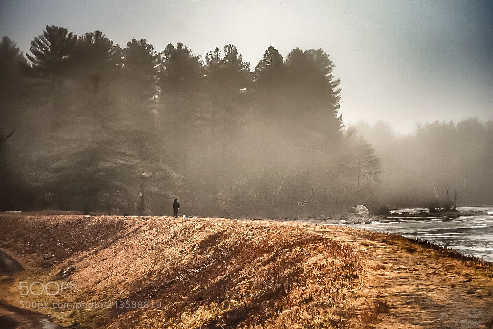 Nikon D7200 sample photo. Foggy walk photography