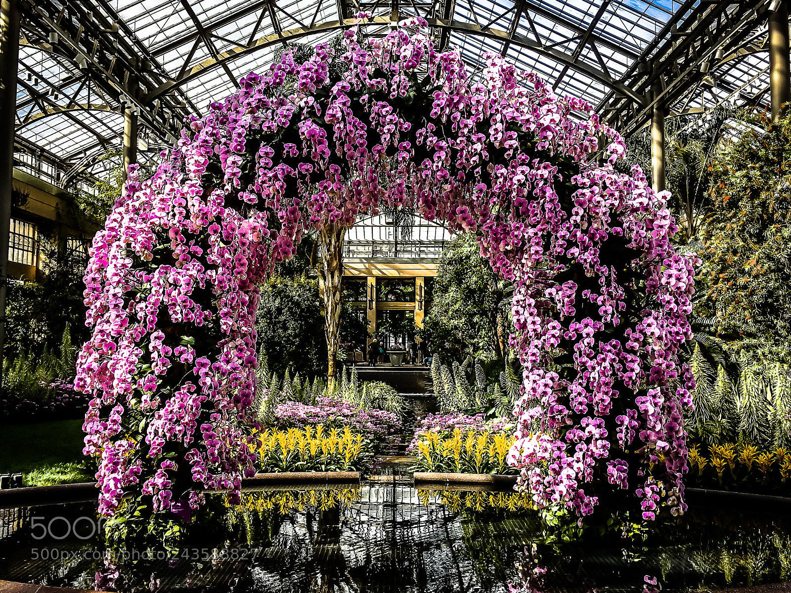 Apple iPhone 6s Plus sample photo. Longwood gardens photography