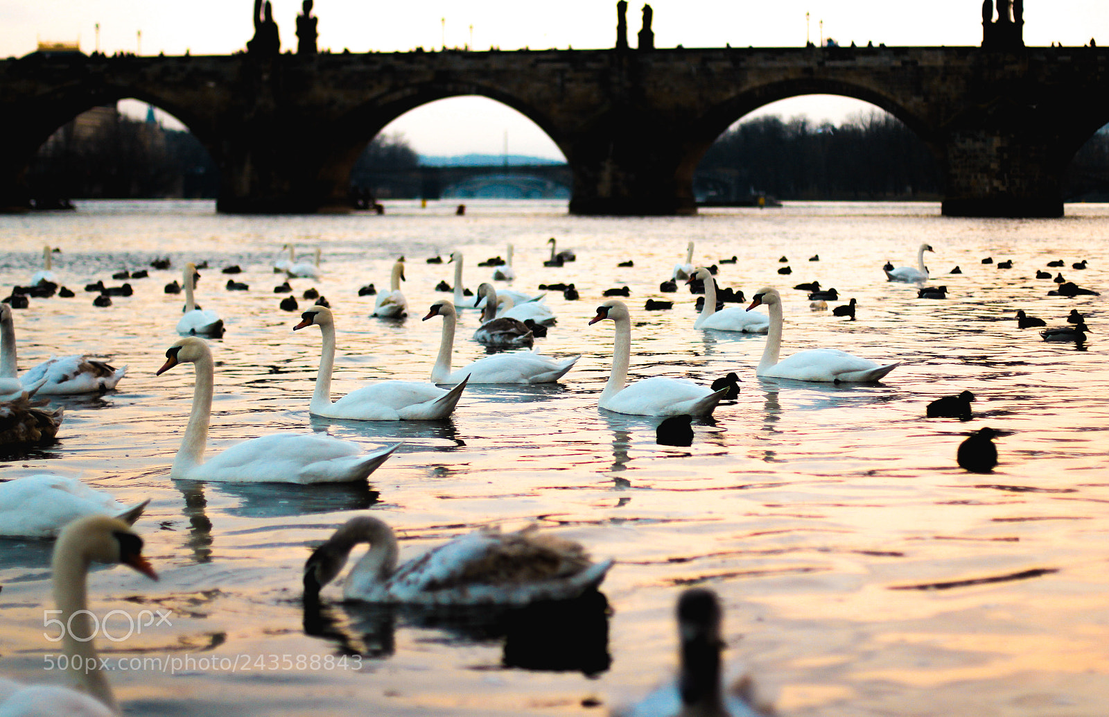 Canon EOS 60D sample photo. Charlesbridge photography