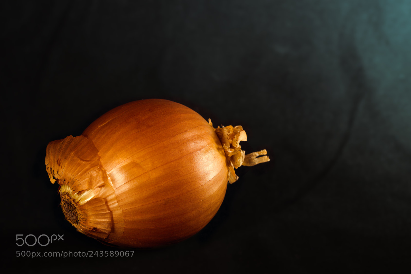 Nikon D810 sample photo. Onion photography