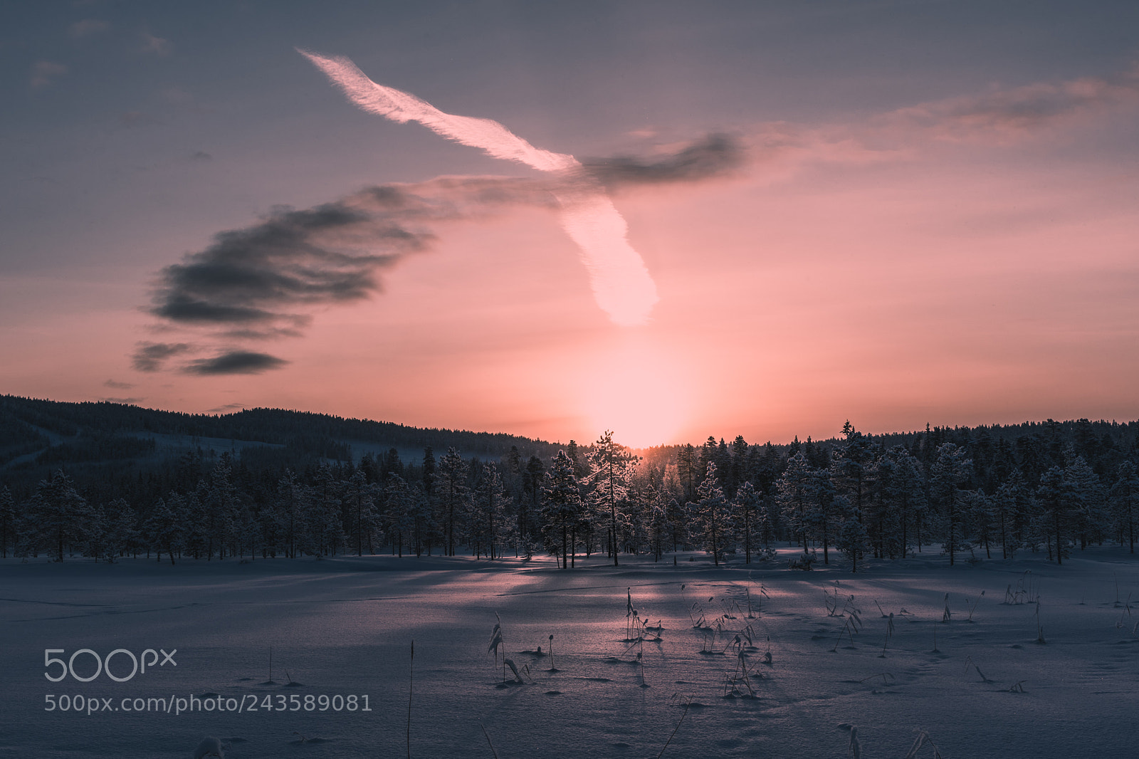 Nikon D500 sample photo. Arctic sunset photography