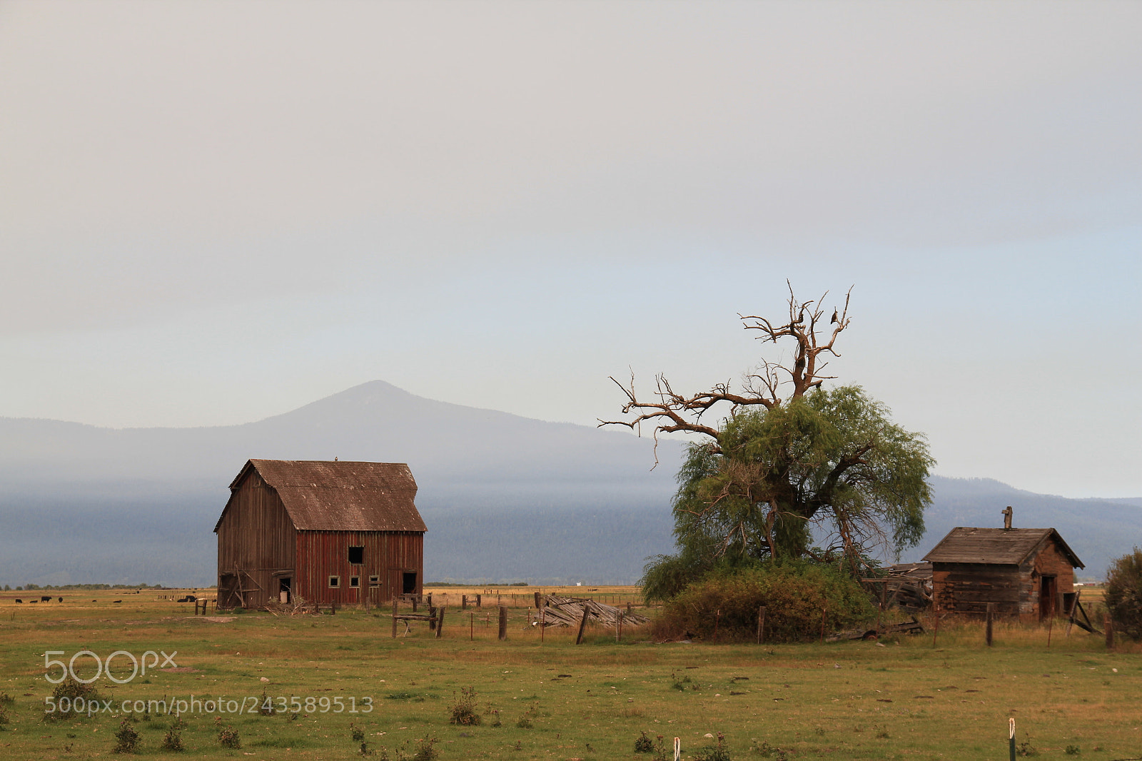 Canon EF-S 18-135mm F3.5-5.6 IS sample photo. Farm photography