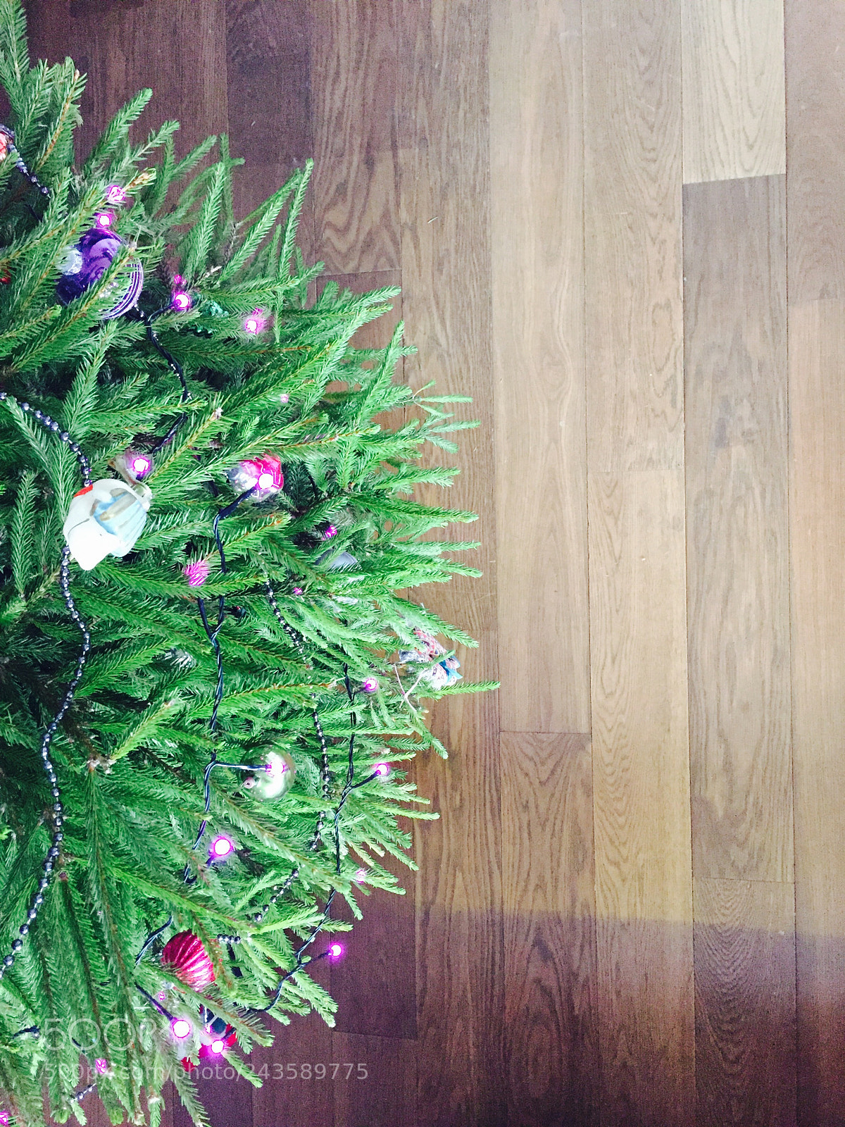 Apple iPhone 6 sample photo. Xmas tree photography