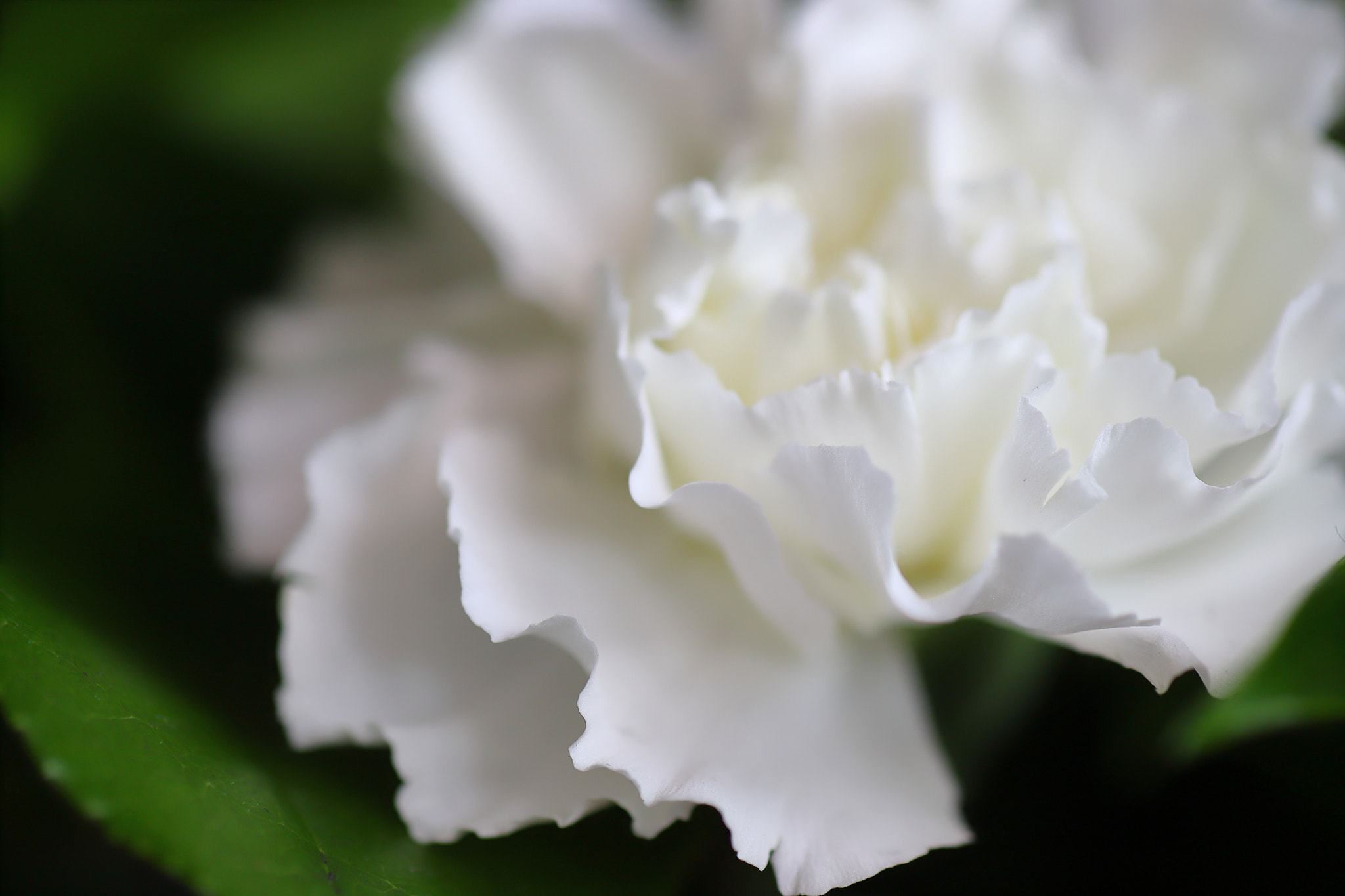 Tamron SP AF 90mm F2.8 Di Macro sample photo. Waves photography