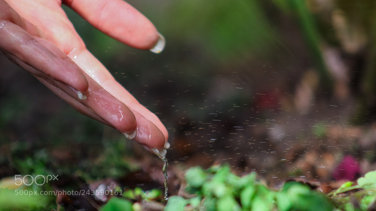 Canon EOS 700D (EOS Rebel T5i / EOS Kiss X7i) sample photo. Water photography