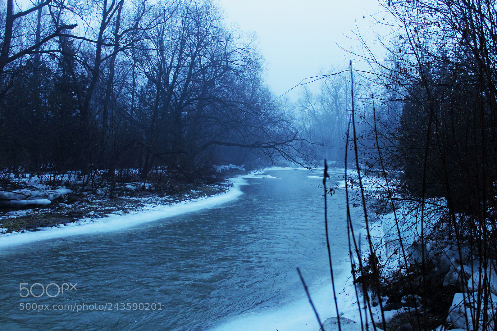 Canon EOS 1200D (EOS Rebel T5 / EOS Kiss X70 / EOS Hi) sample photo. Fog + sunrise photography