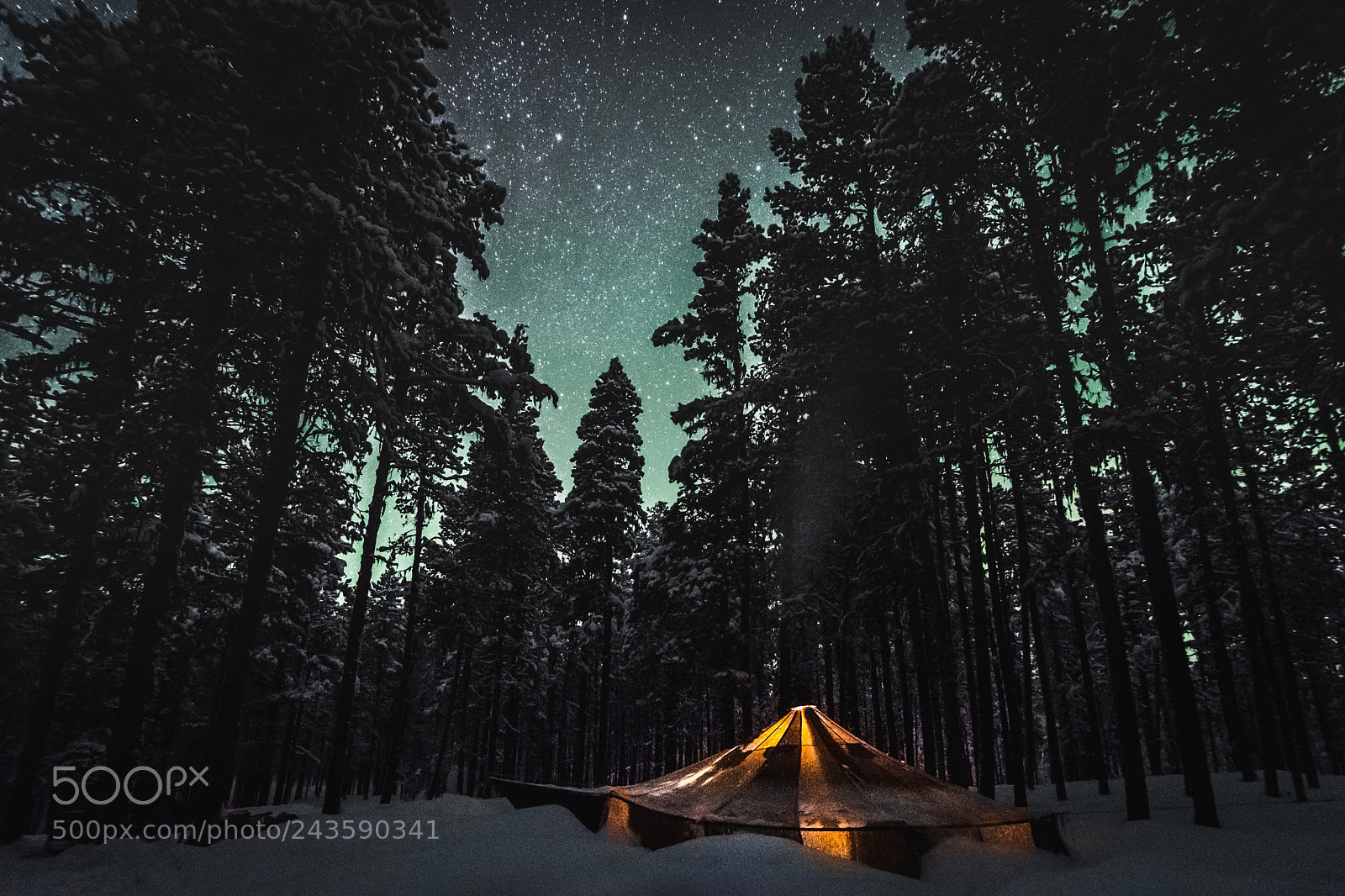 Nikon D500 sample photo. Creeping aurora photography