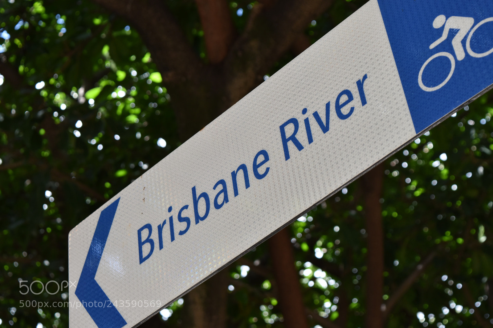 Nikon D5500 sample photo. Australia round 1 photography