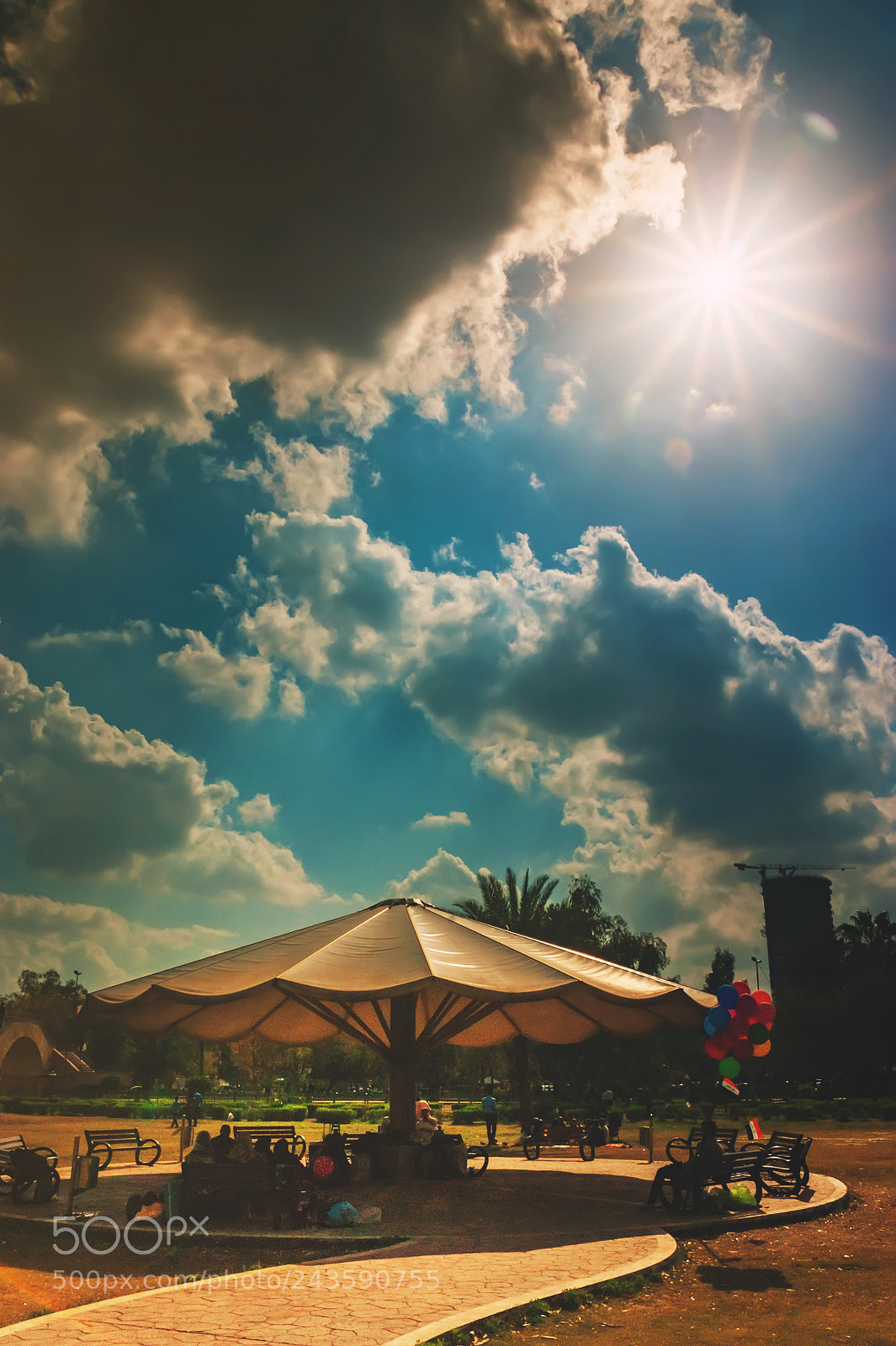 Sony Alpha DSLR-A350 sample photo. Shooting against the sun photography