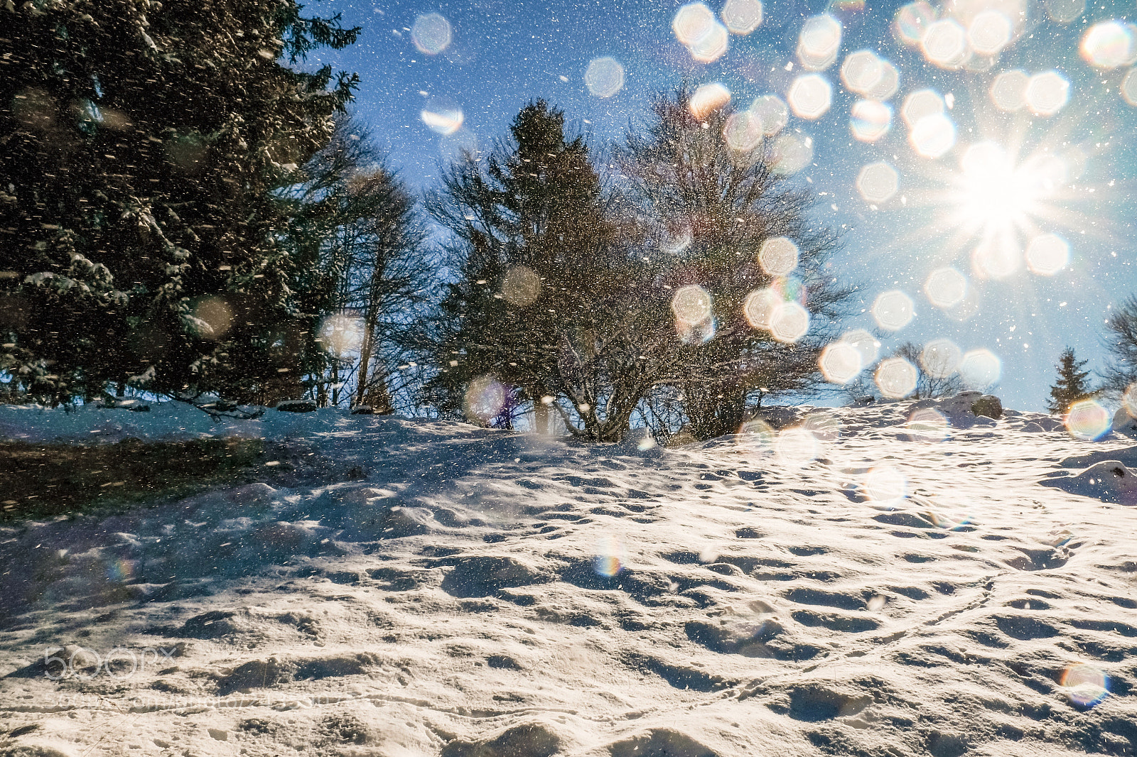 Fujifilm X-T1 sample photo. Glittery. photography