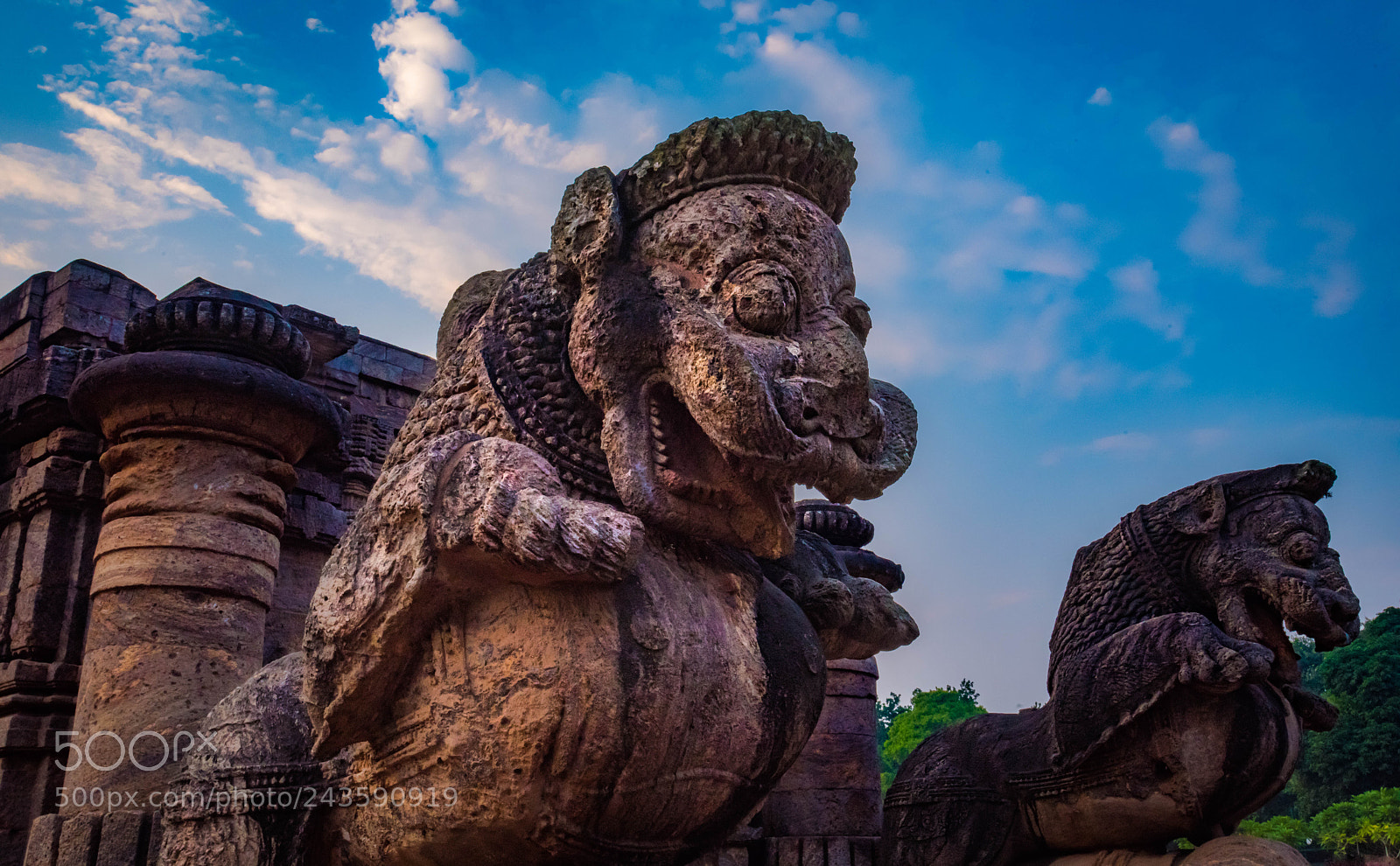 Nikon D810 sample photo. Konark temple photography