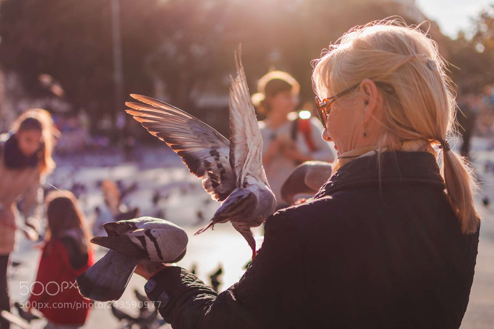 Nikon D7100 sample photo. The pidgeon whisperer photography