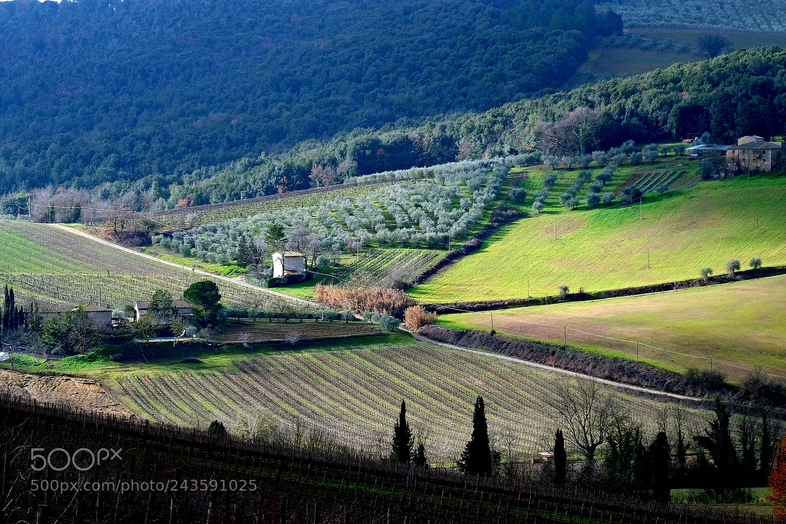 Fujifilm X-M1 sample photo. Countryside in s. gimignano photography