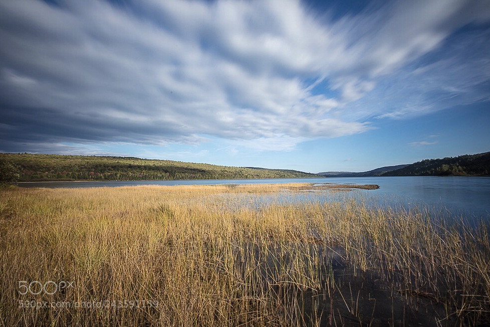 Canon EOS 5DS R sample photo. Untitled photography