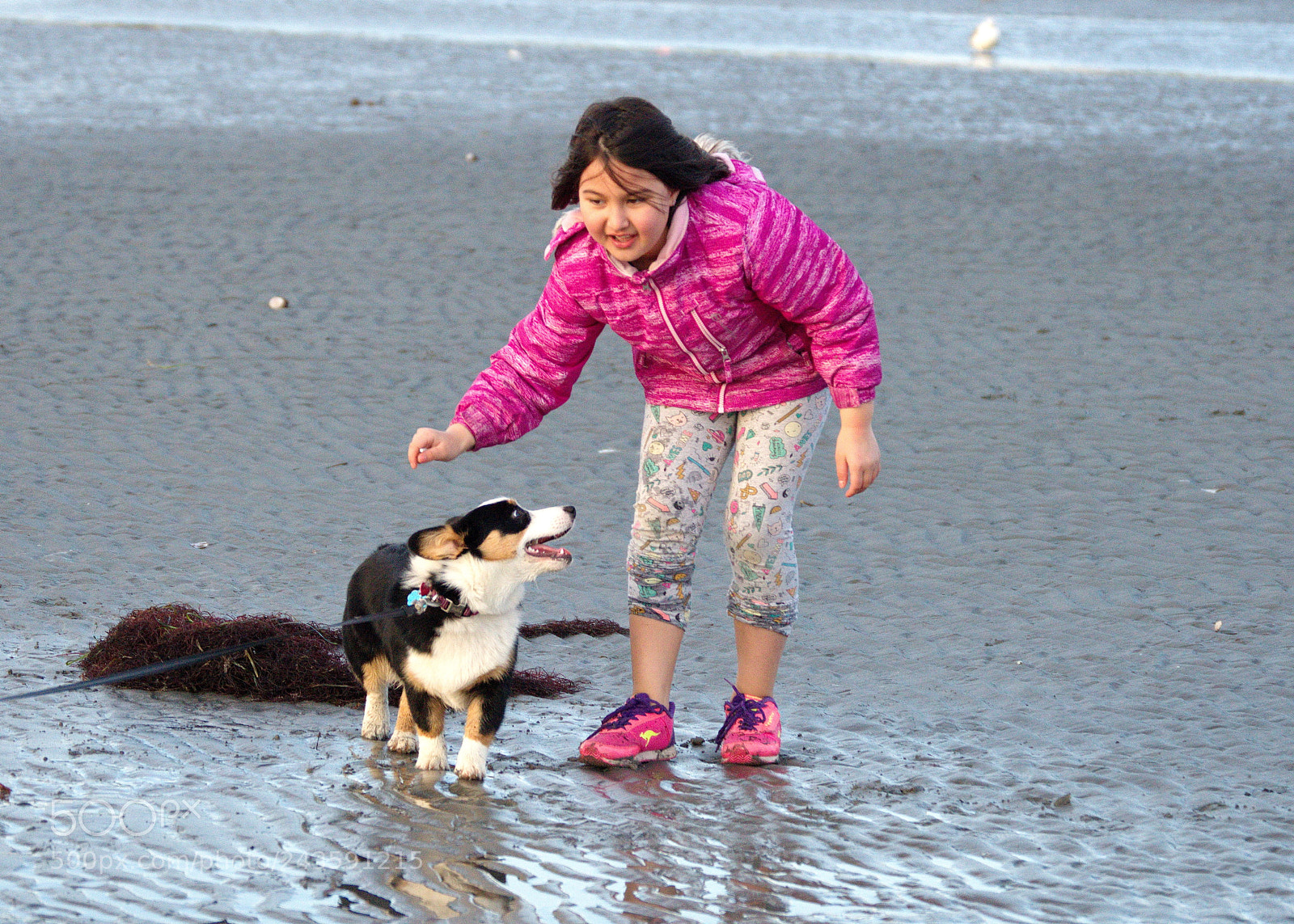 Nikon D3200 sample photo. Girl and dog photography