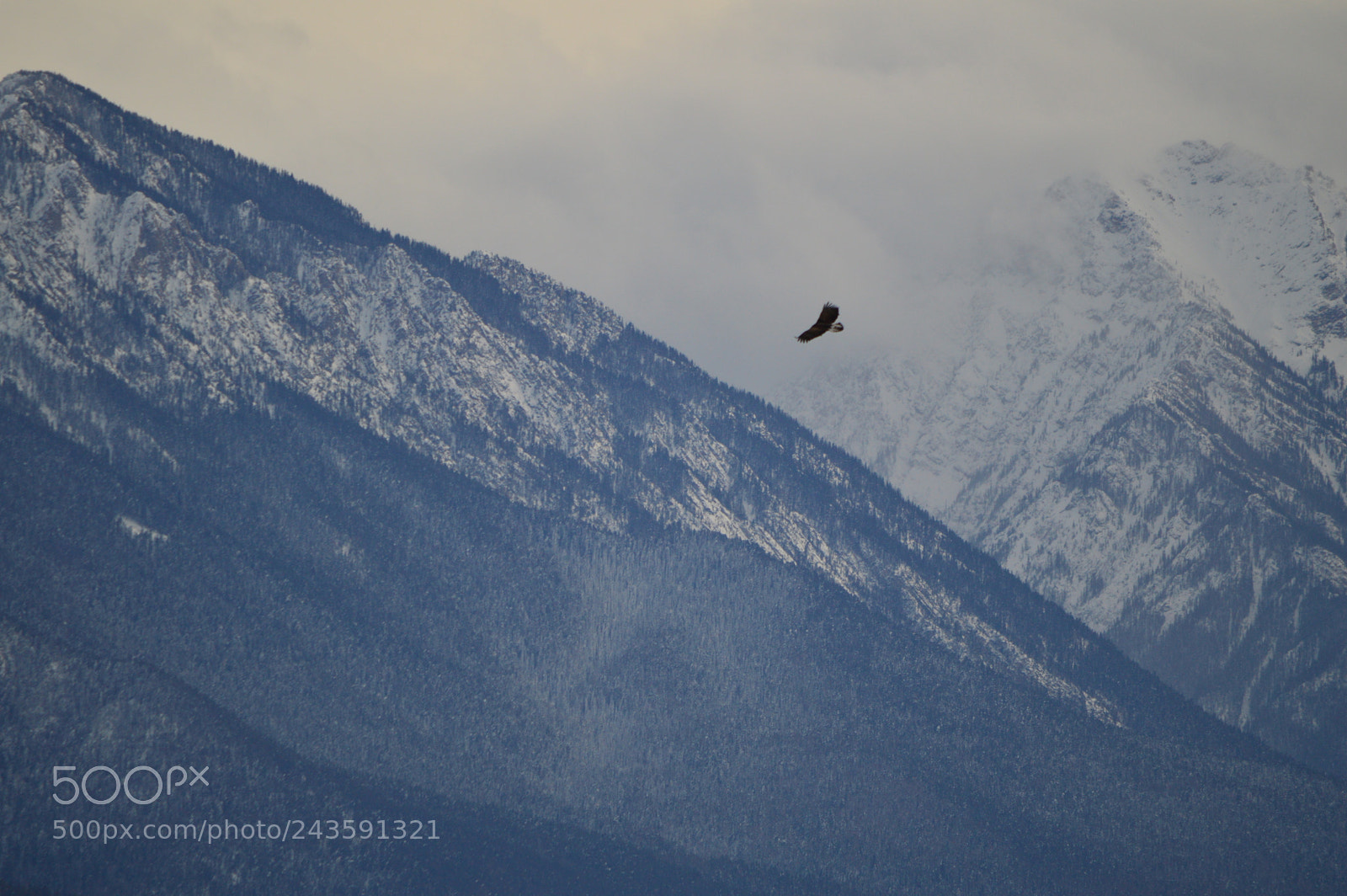 Nikon D3200 sample photo. Flight in the mountain photography