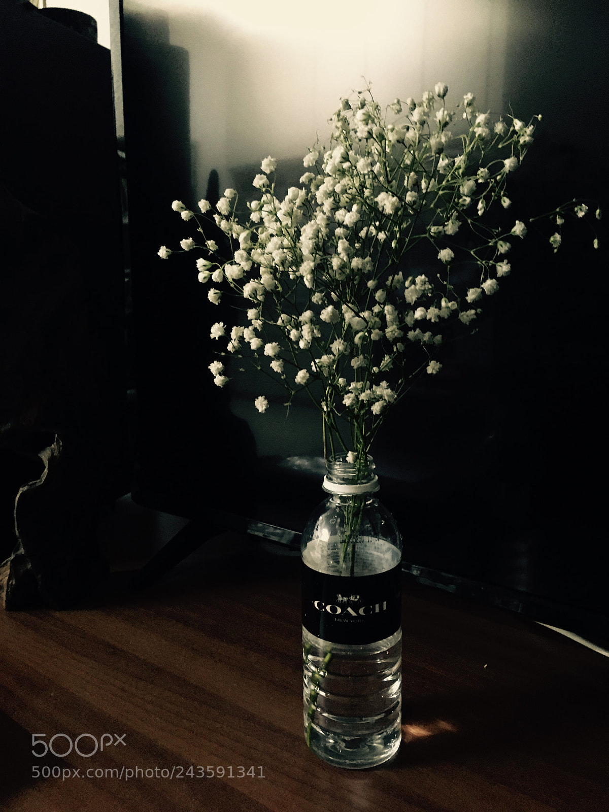 Apple iPhone SE sample photo. Untitled photography