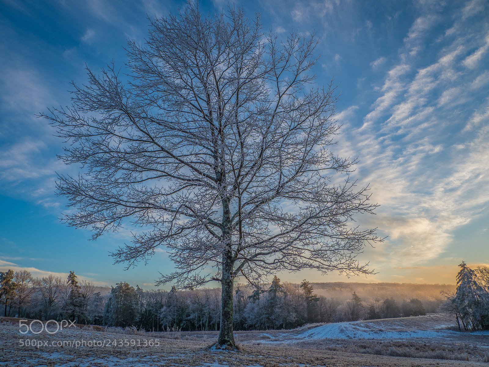 Olympus OM-D E-M1 Mark II sample photo. After the freeze photography