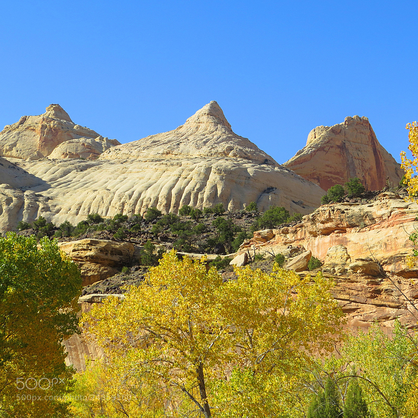Canon PowerShot SX50 HS sample photo. Capitol reef photography