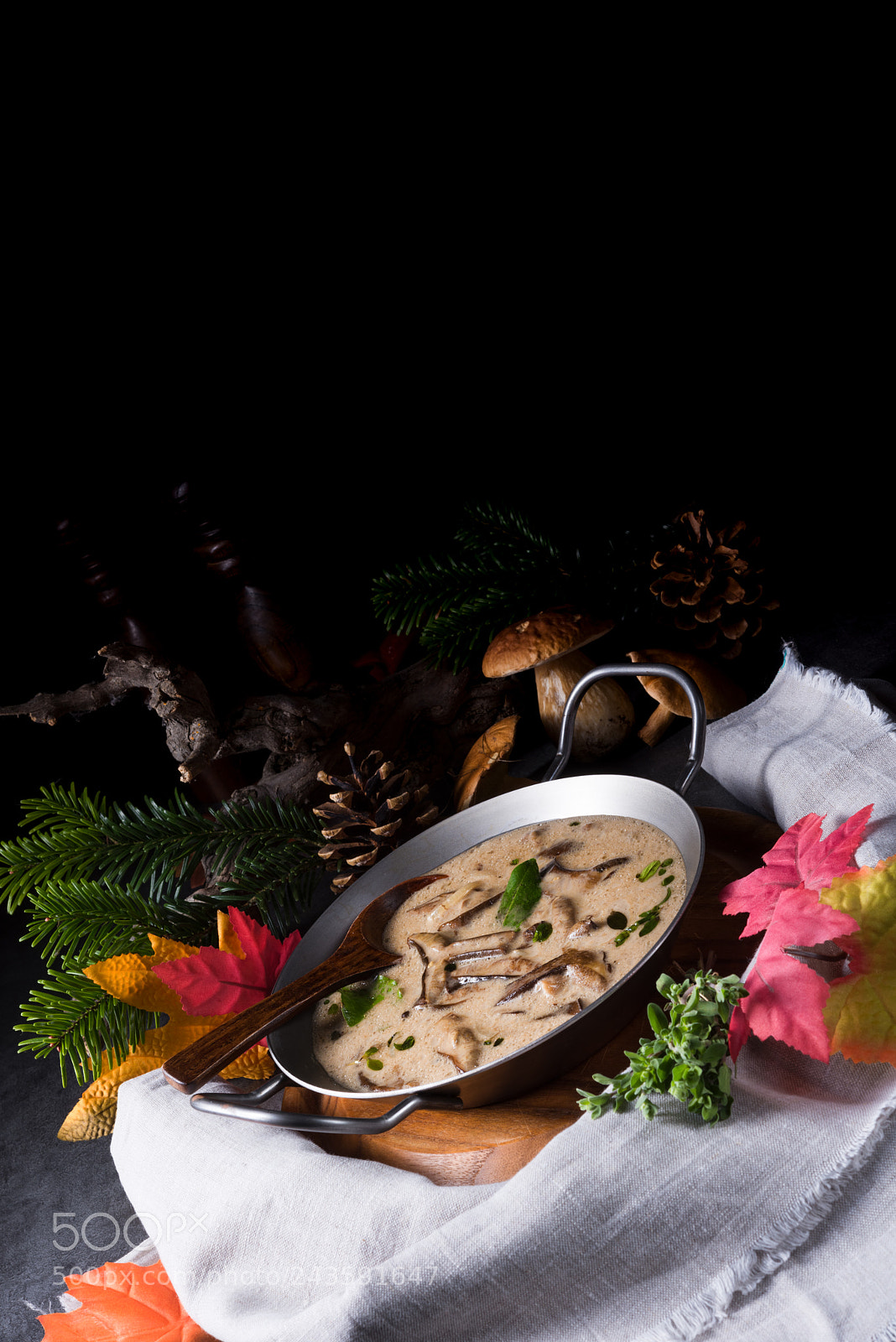 Nikon D810 sample photo. Tasty mushroom sauce photography