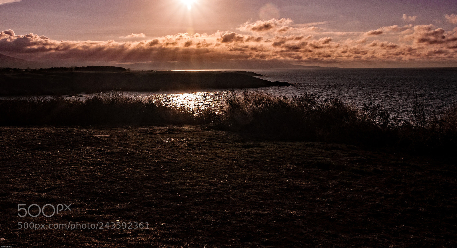Nikon D5000 sample photo. Sun reflection photography