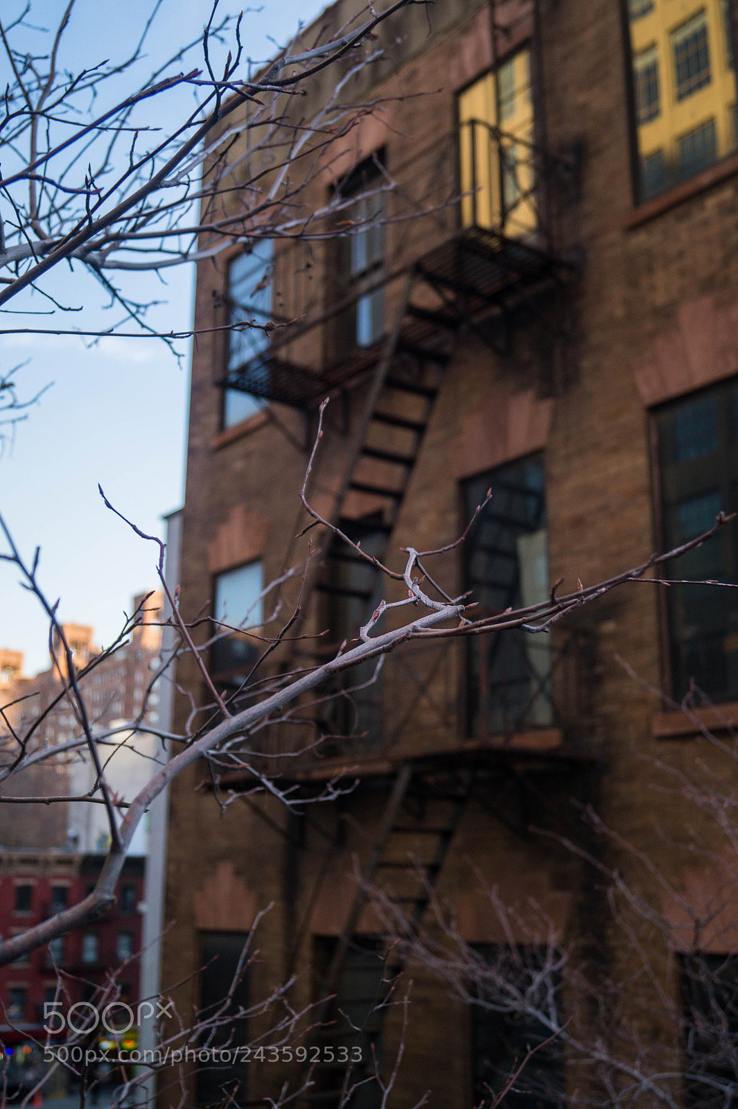 Sony SLT-A58 sample photo. Escape photography