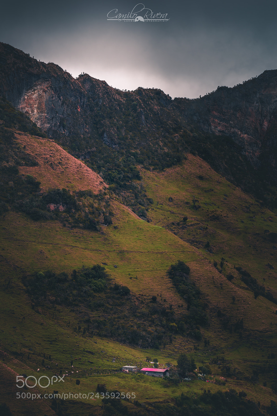 Nikon D810 sample photo. Singular places... photography