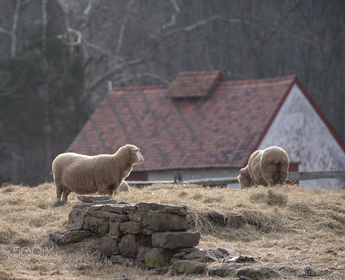 Pentax K-1 sample photo. Hopewell village in winter photography