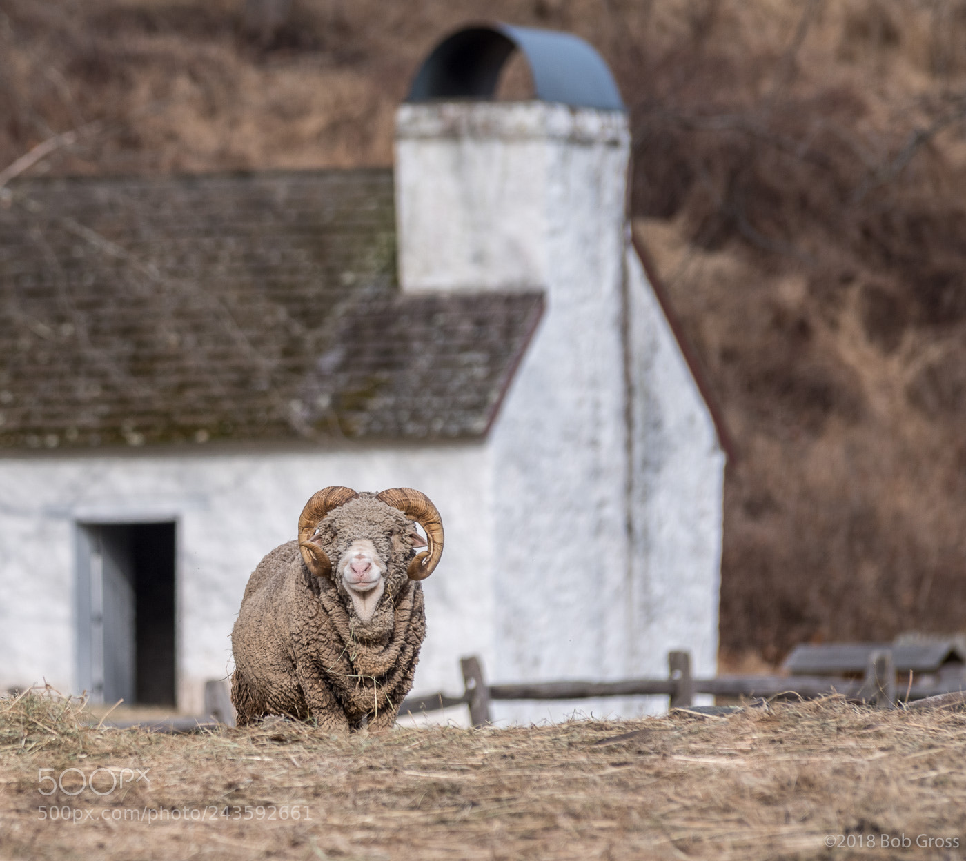 Pentax K-1 sample photo. Hopewell village in winter photography