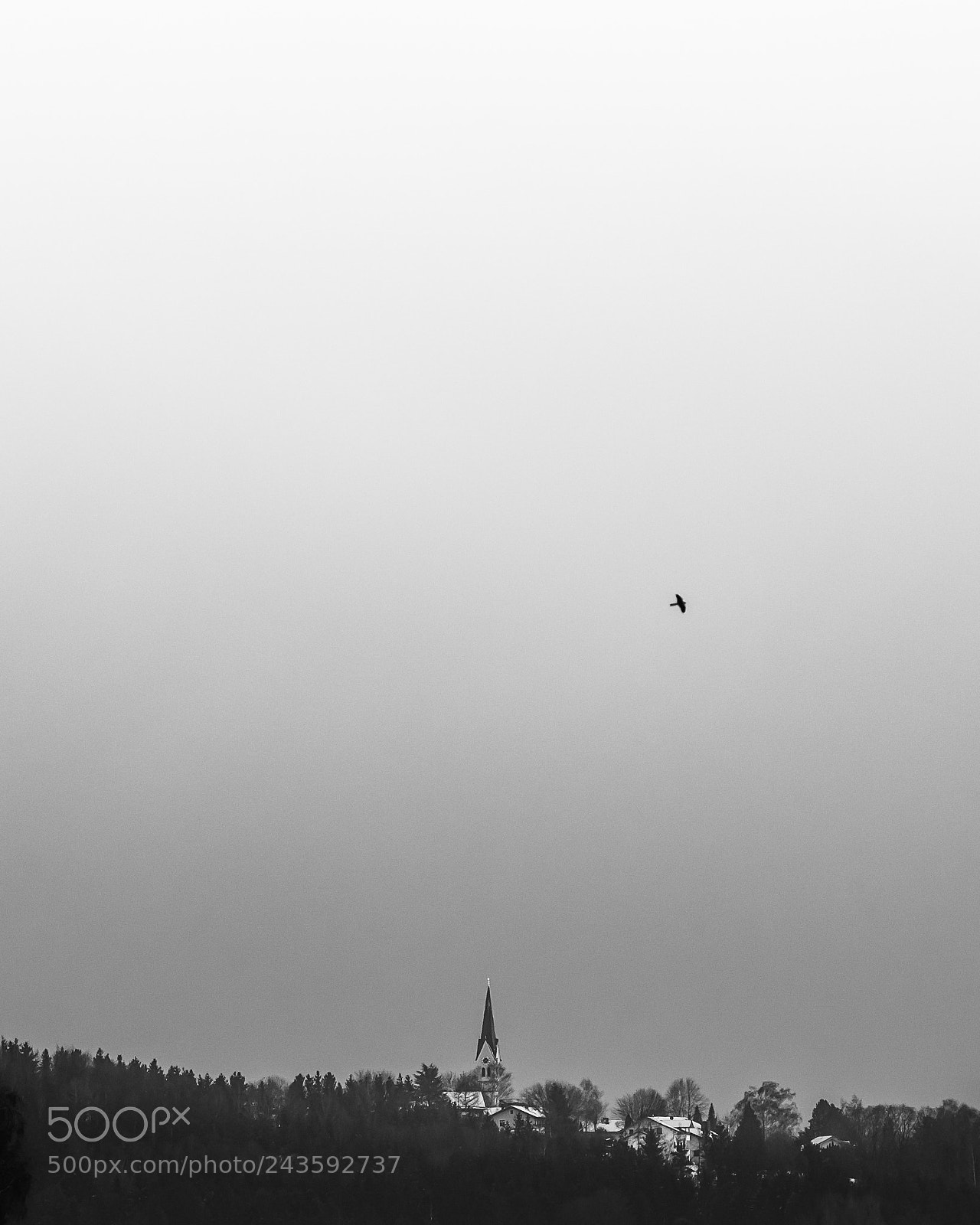 Canon EOS-1D Mark III sample photo. Simple photography