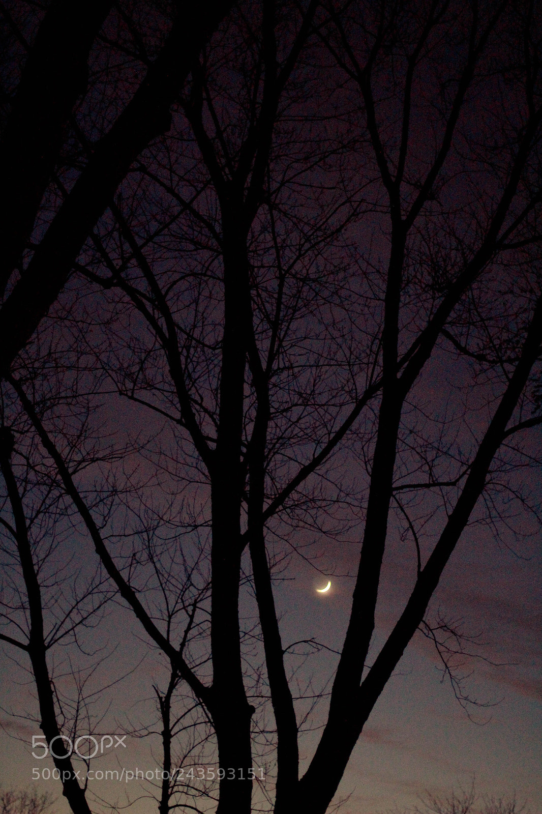 Canon EOS 600D (Rebel EOS T3i / EOS Kiss X5) sample photo. Moon photography