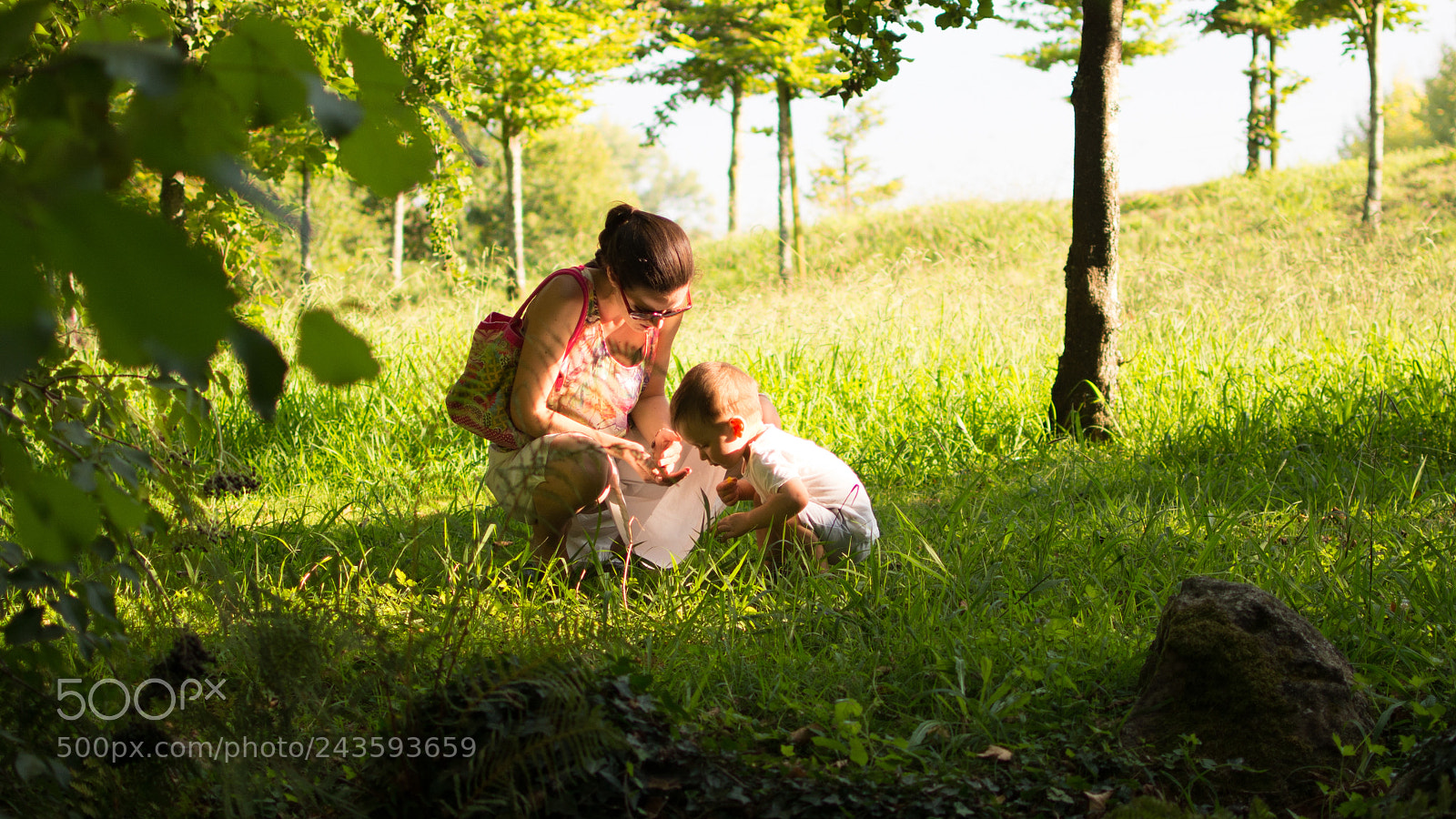Nikon D7100 sample photo. Sunny afternoon photography