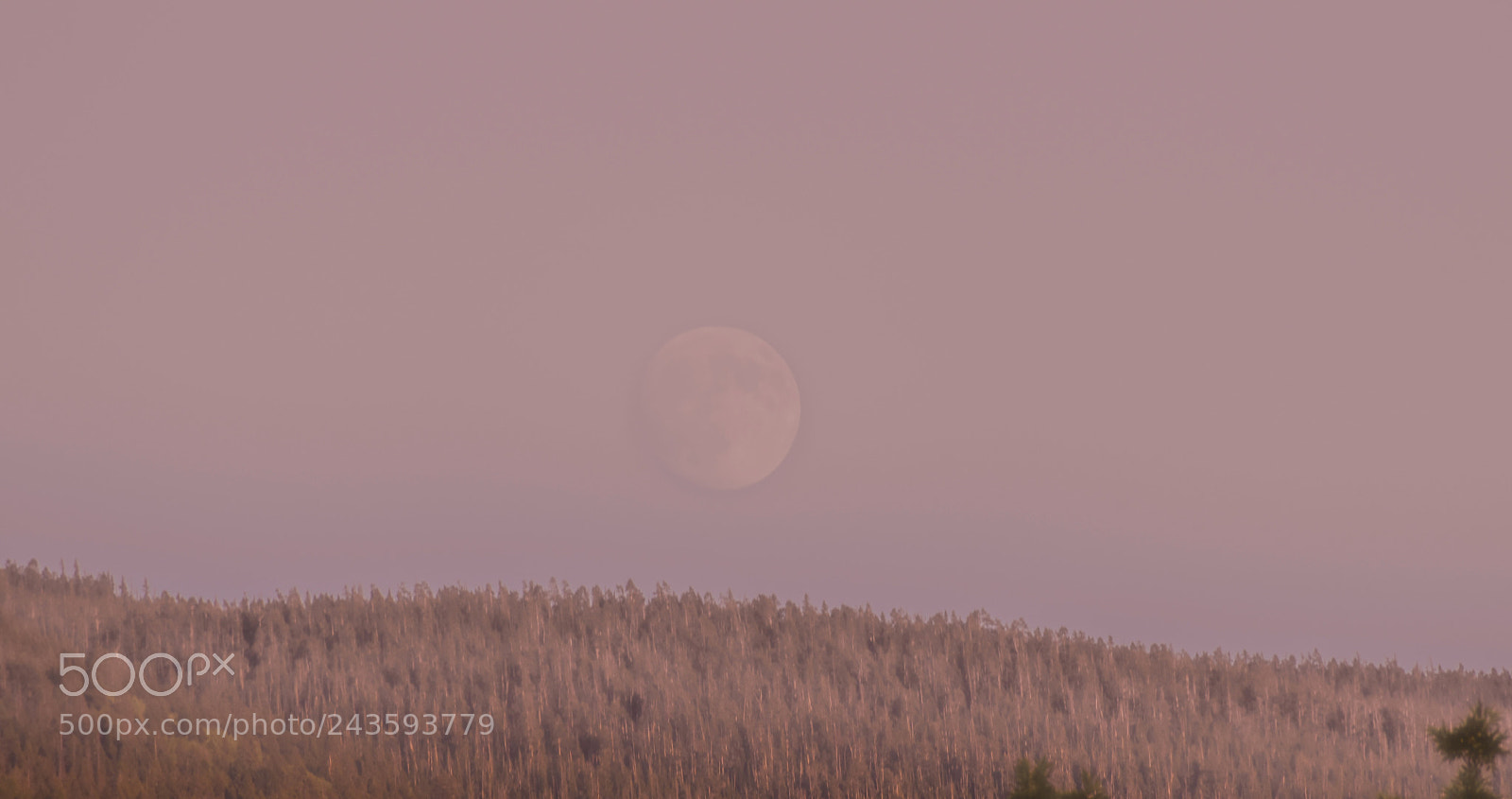 Nikon D5500 sample photo. Hazy moon photography