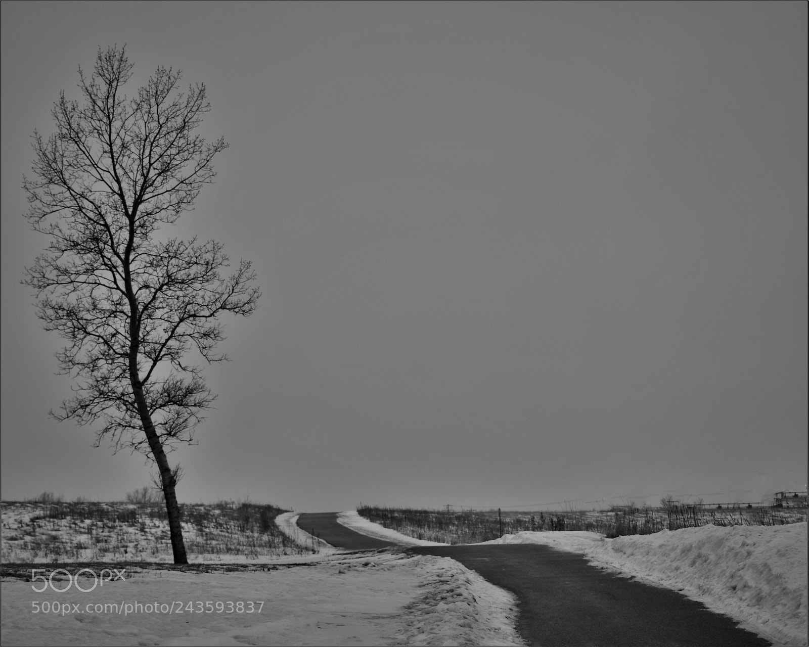 Nikon D5500 sample photo. Black&black photography
