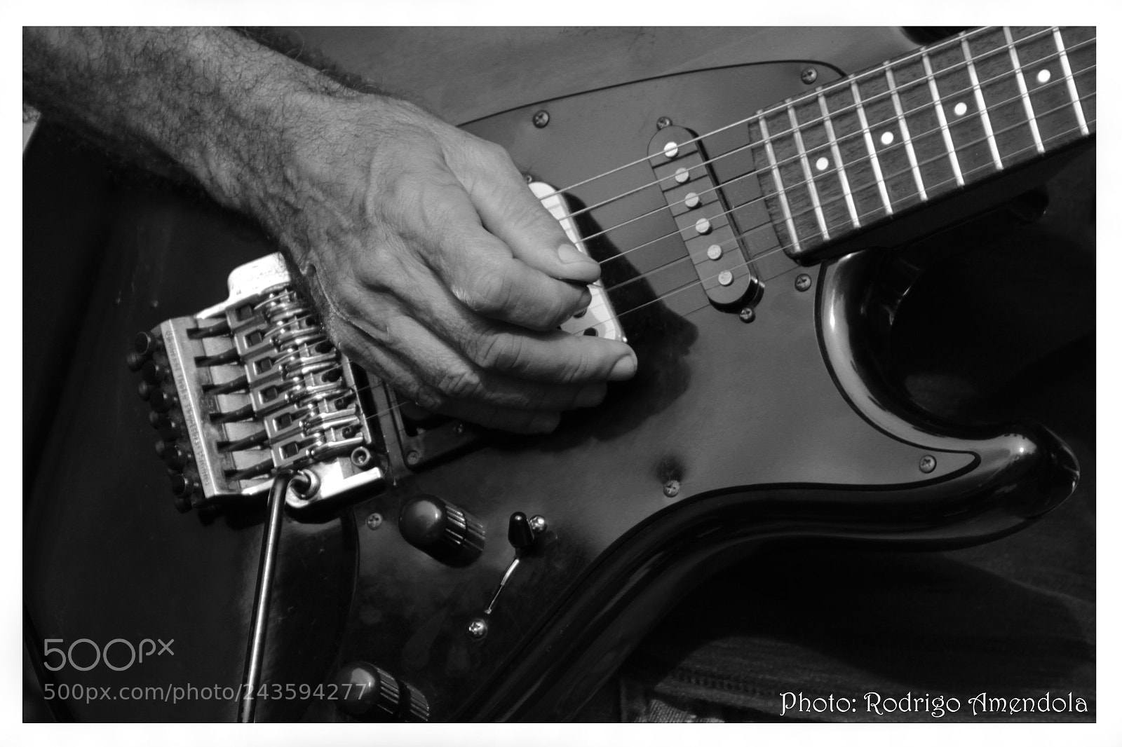 Canon EOS 600D (Rebel EOS T3i / EOS Kiss X5) sample photo. ? play that funk music ? photography
