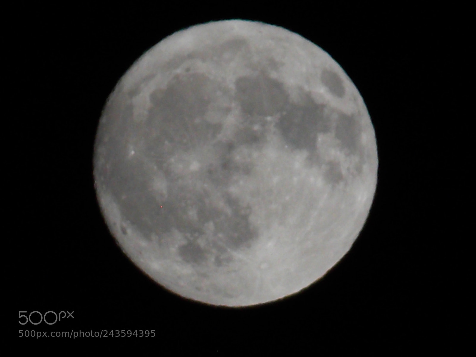 Nikon Coolpix L810 sample photo. Full moon photography